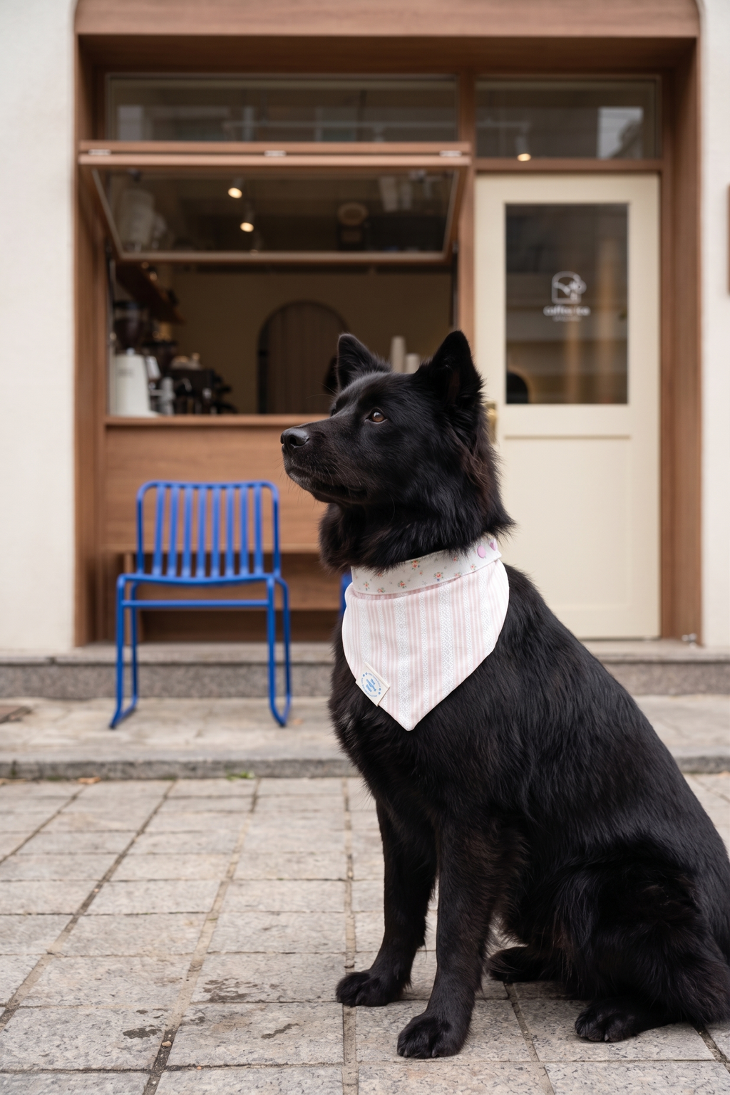 TWB｜Pink Stripes Reversible Bandana｜粉紅條紋雙面領巾