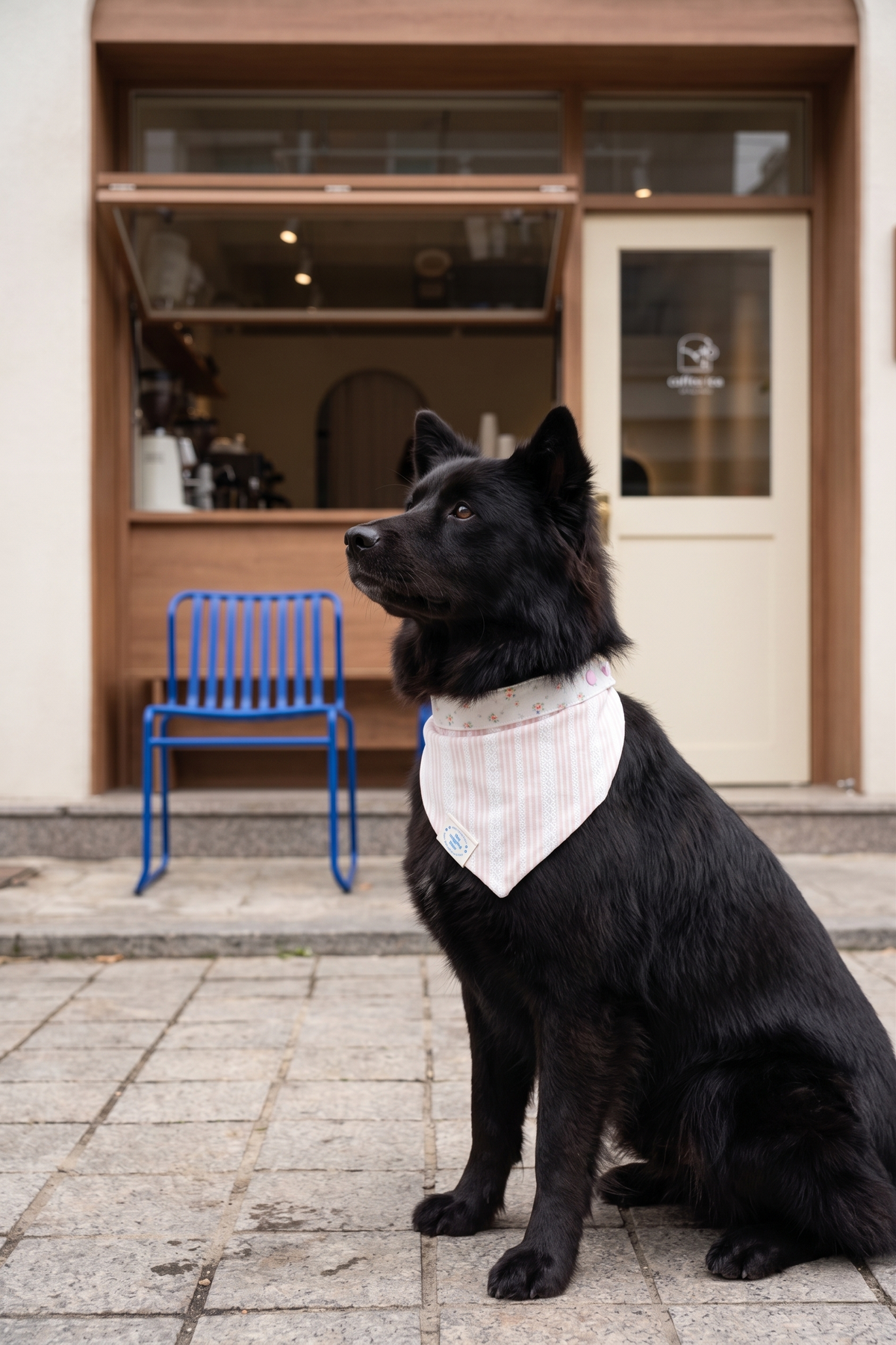 TWB｜Pink Stripes Reversible Bandana｜粉紅條紋雙面領巾