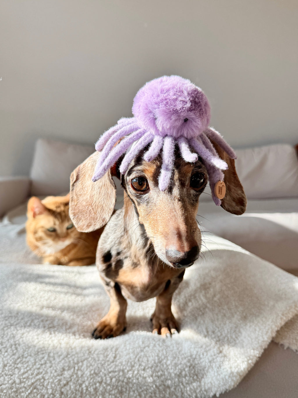 Wetnose｜海洋系列-章魚頭套 octopus headpiece