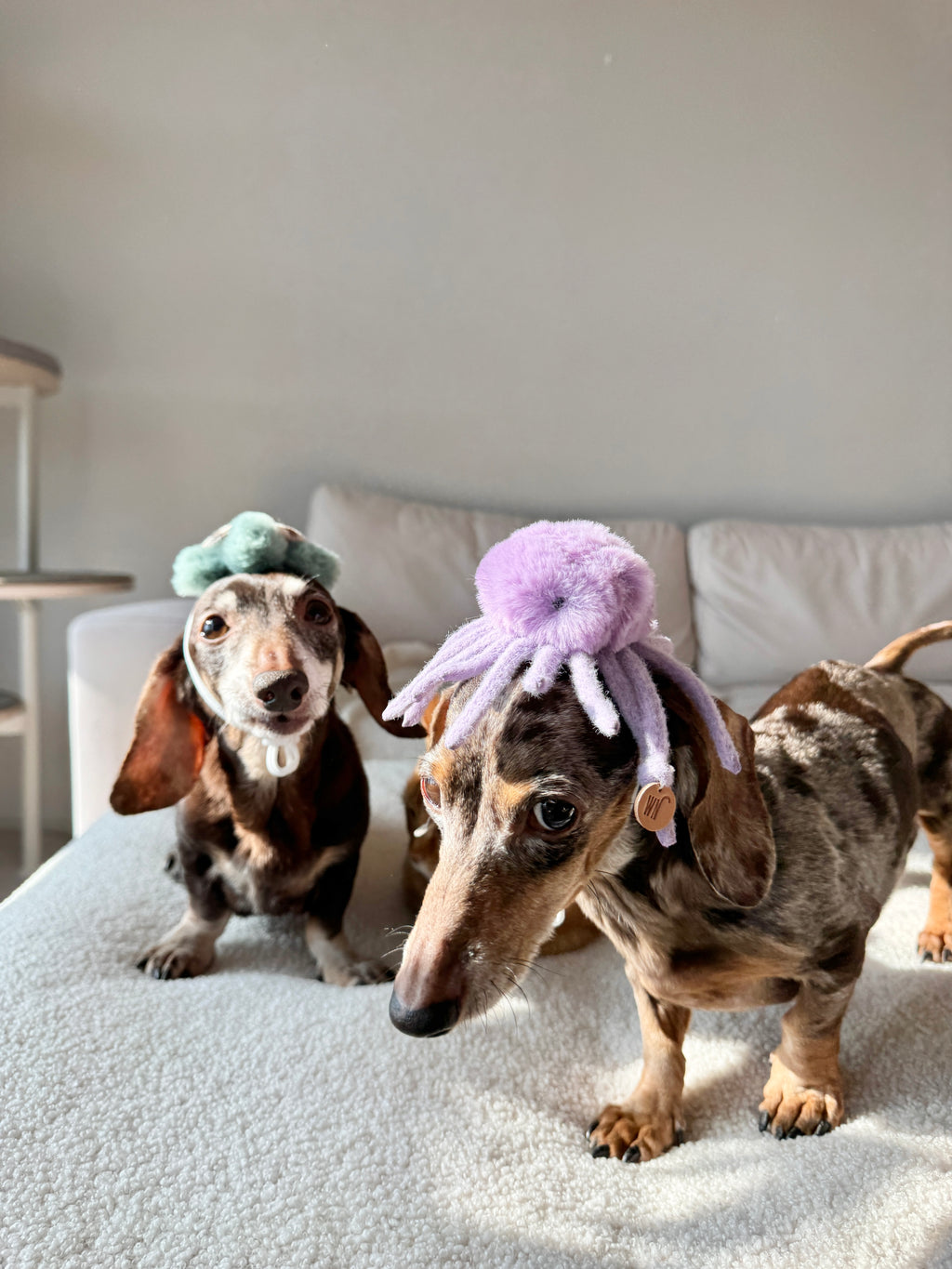 Wetnose｜海洋系列-章魚頭套 octopus headpiece