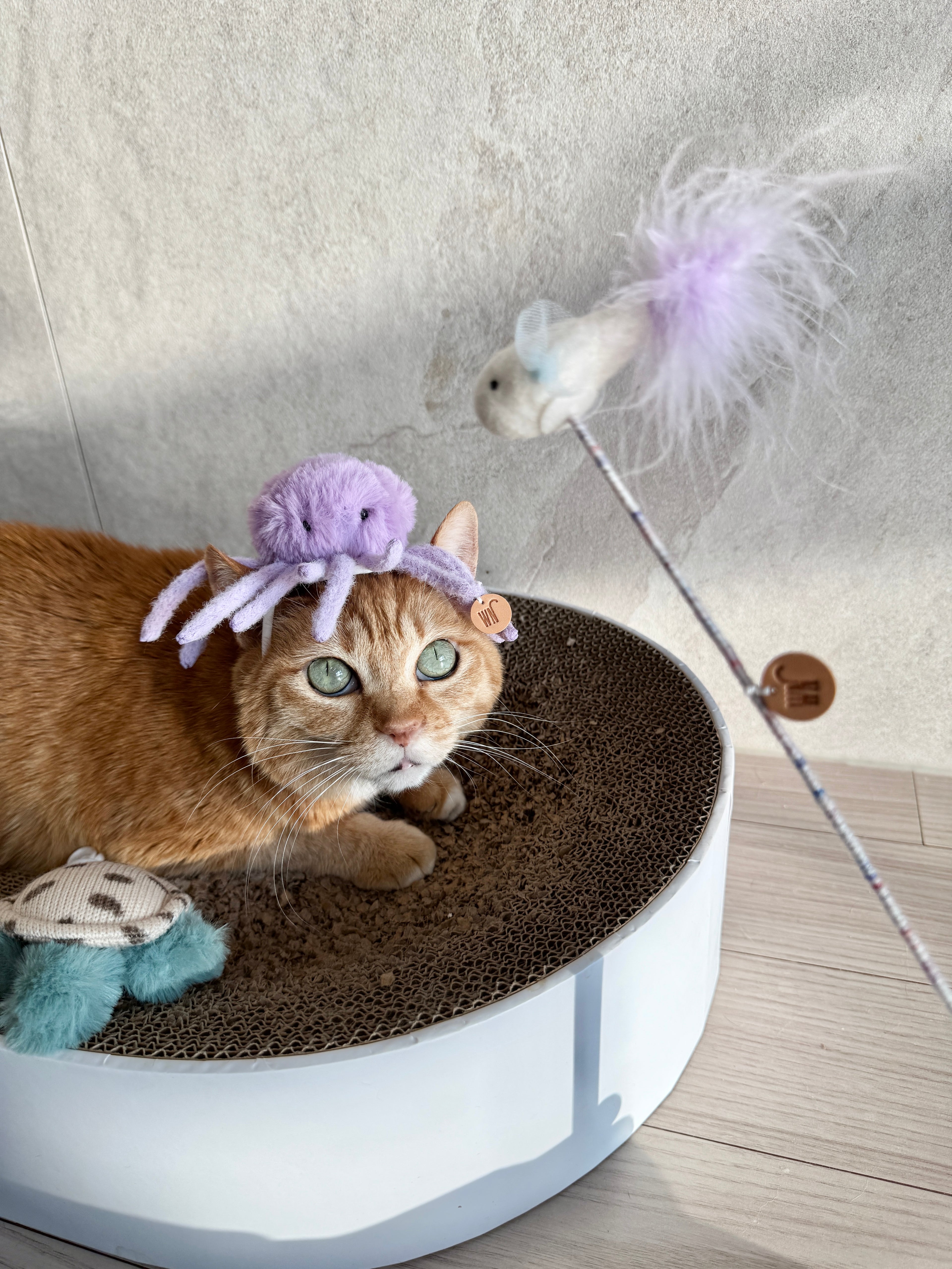 Wetnose｜海洋系列-章魚頭套 octopus headpiece