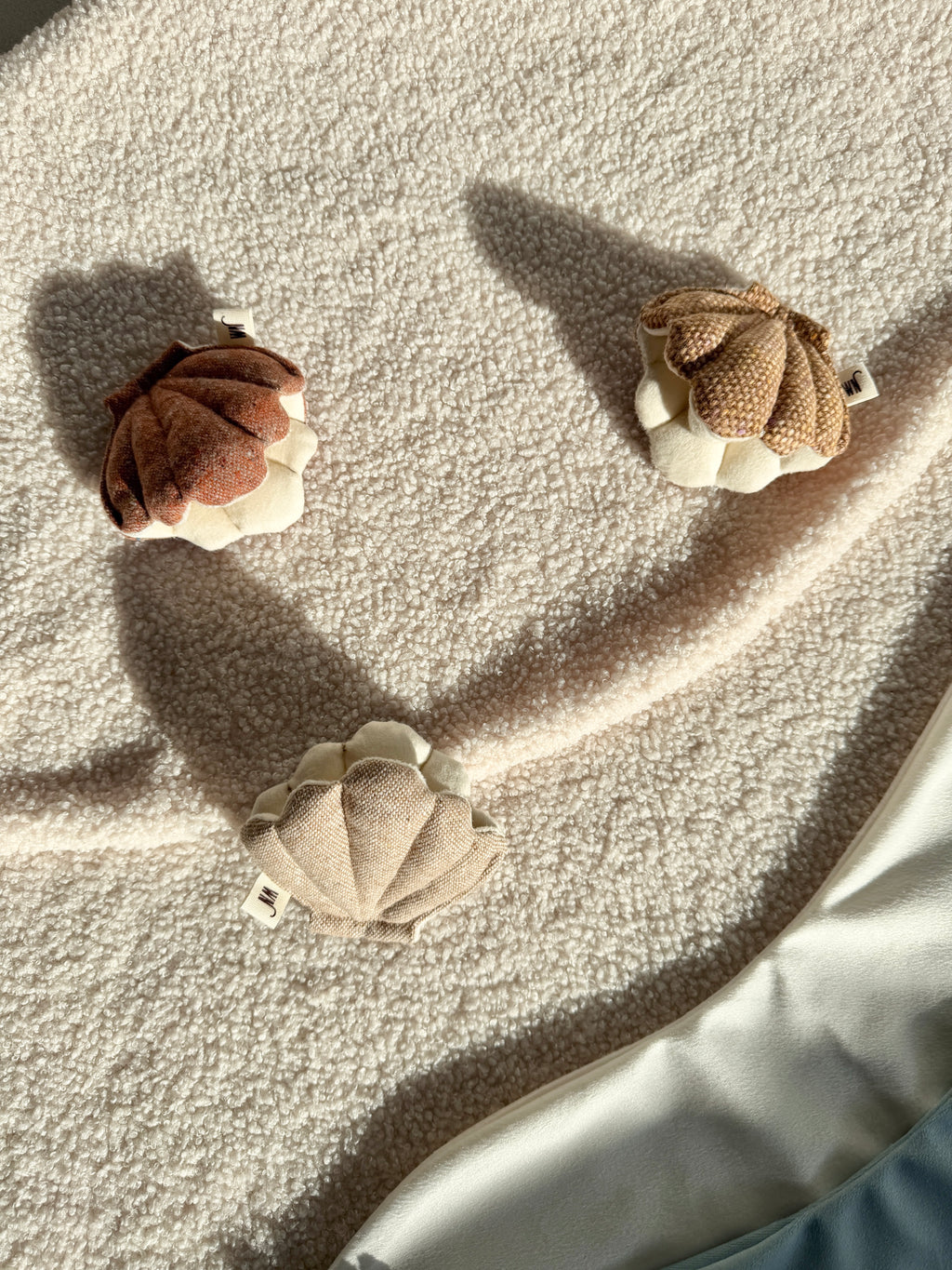 Wetnose｜海洋系列-貝殼（3件組）clam 3 set