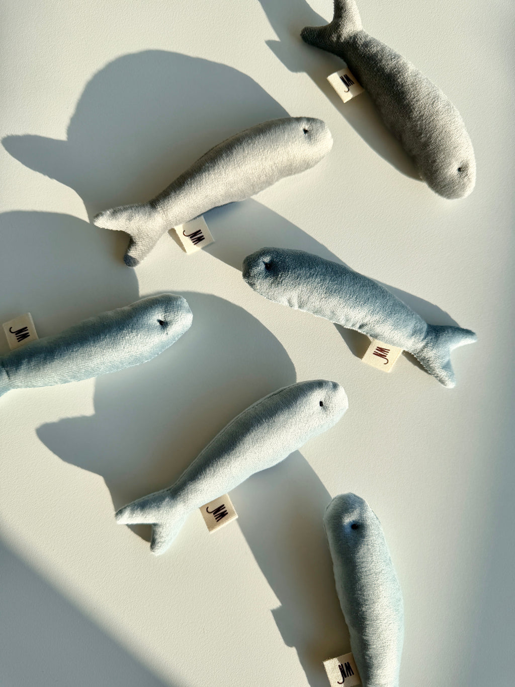 Wetnose｜海洋系列-小魚乾（3件組）anchovy 3 set