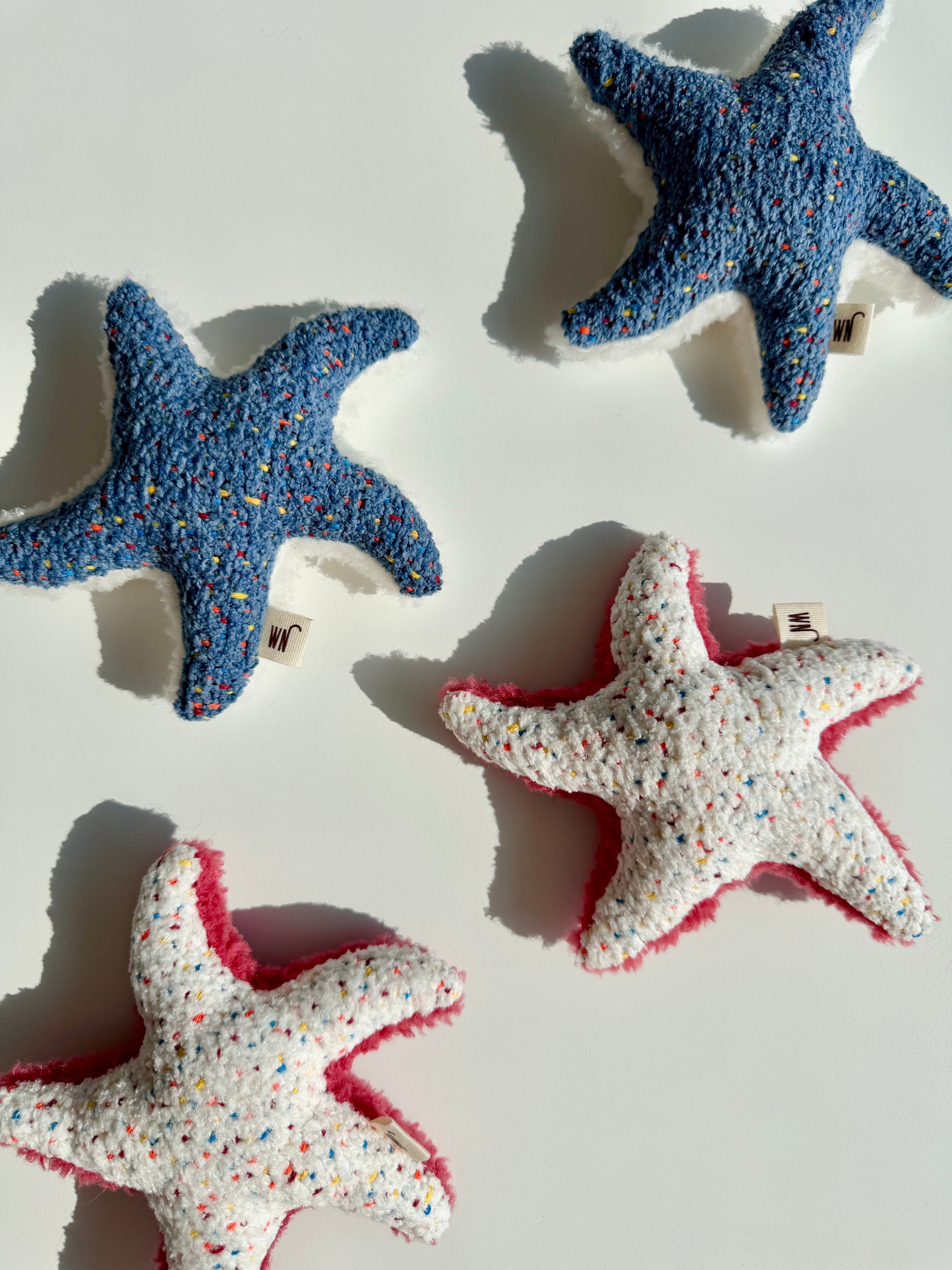 Wetnose｜海洋系列-海星 starfish