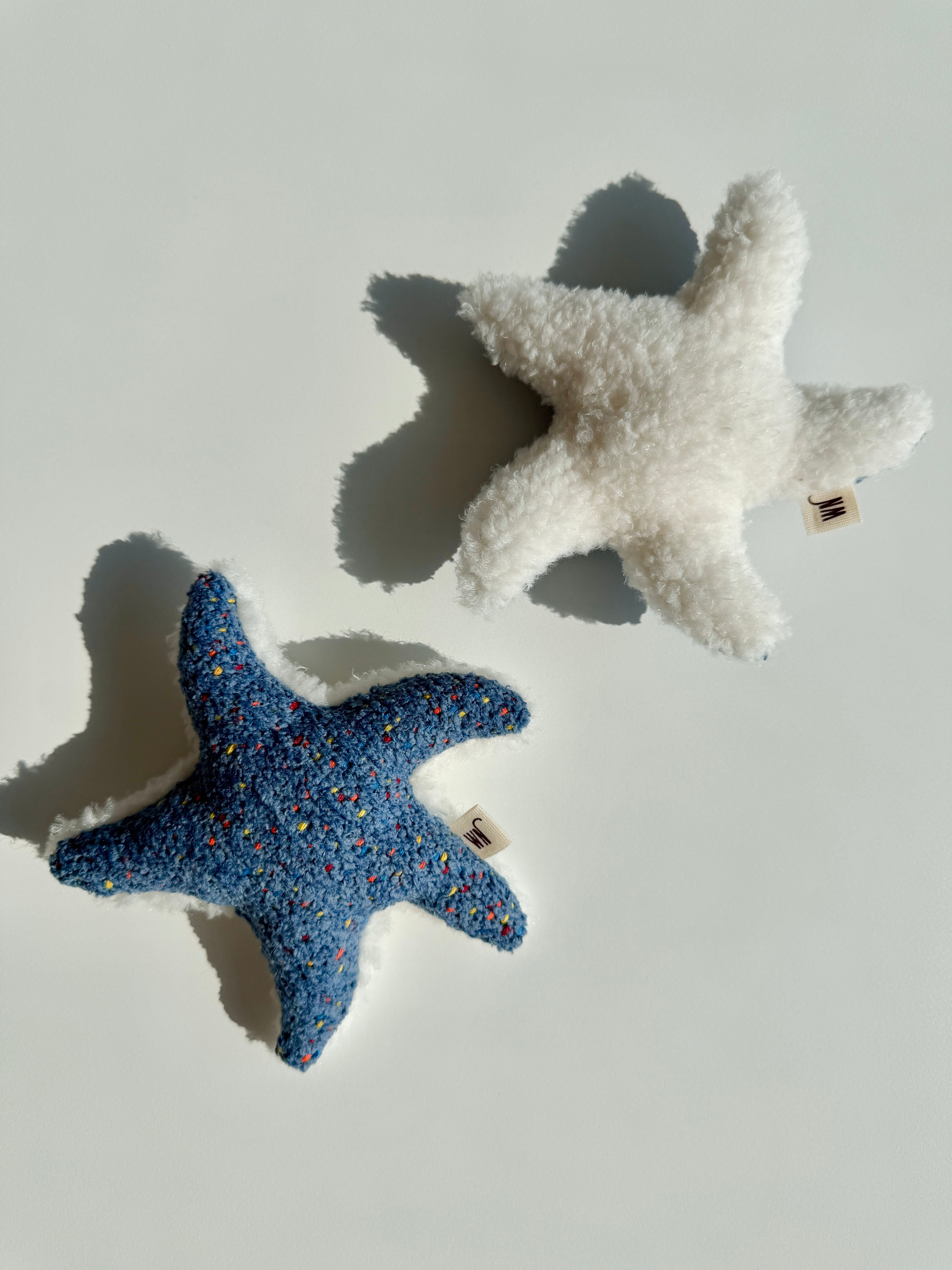 Wetnose｜海洋系列-海星 starfish