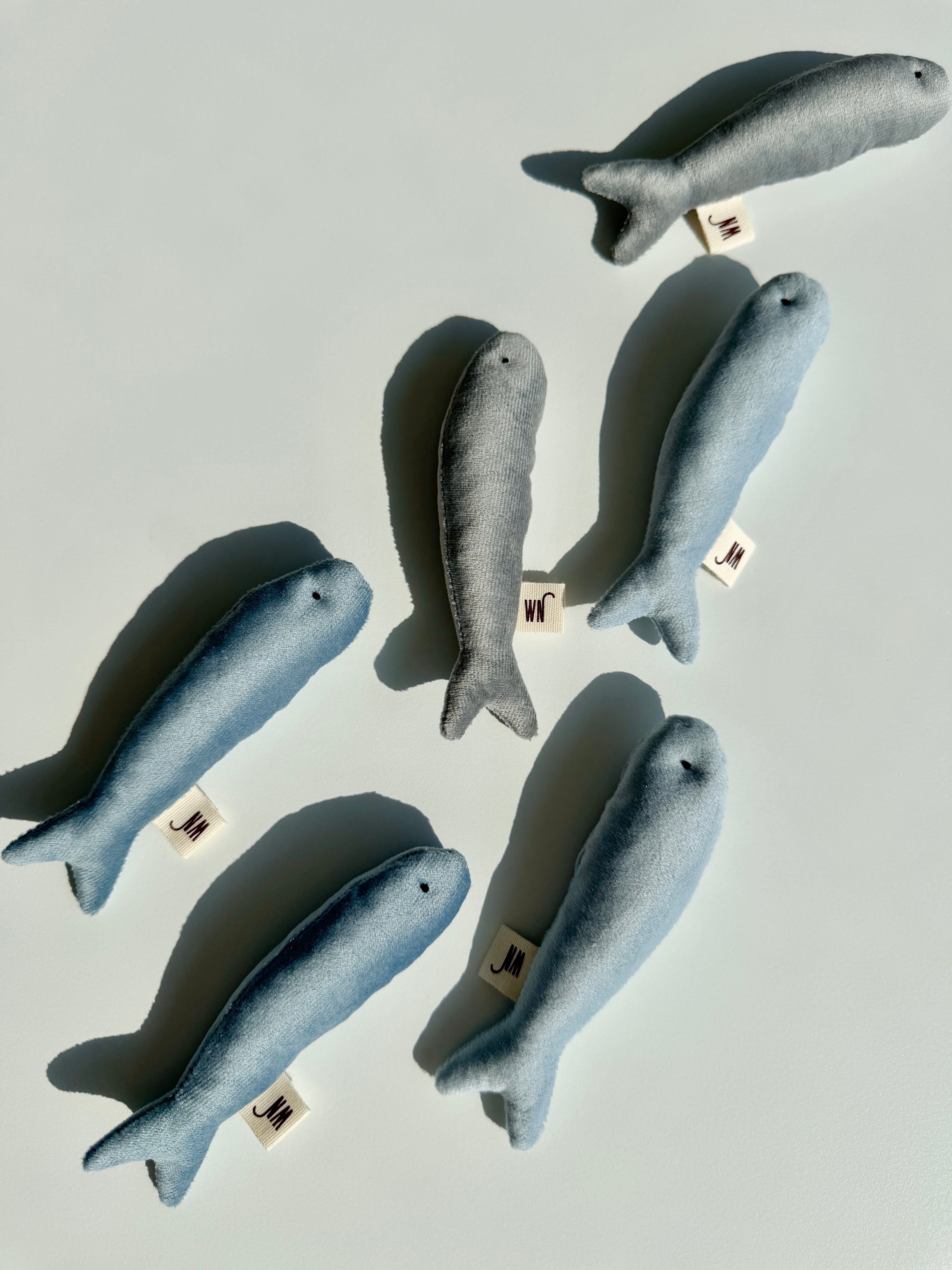 Wetnose｜海洋系列-小魚乾（3件組）anchovy 3 set
