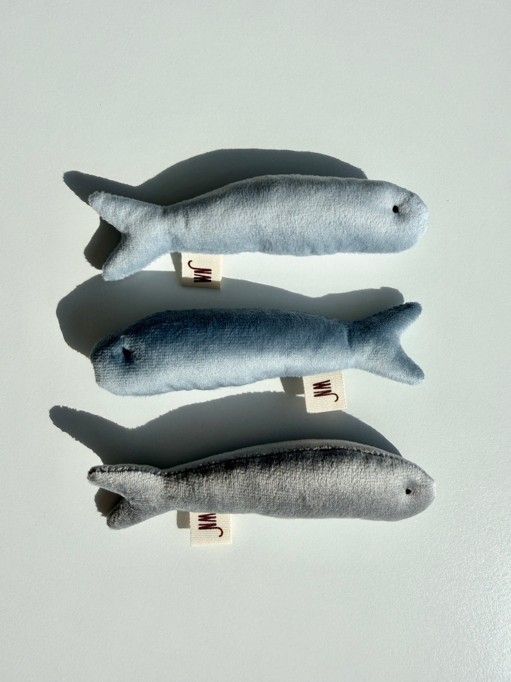 Wetnose｜海洋系列-小魚乾（3件組）anchovy 3 set
