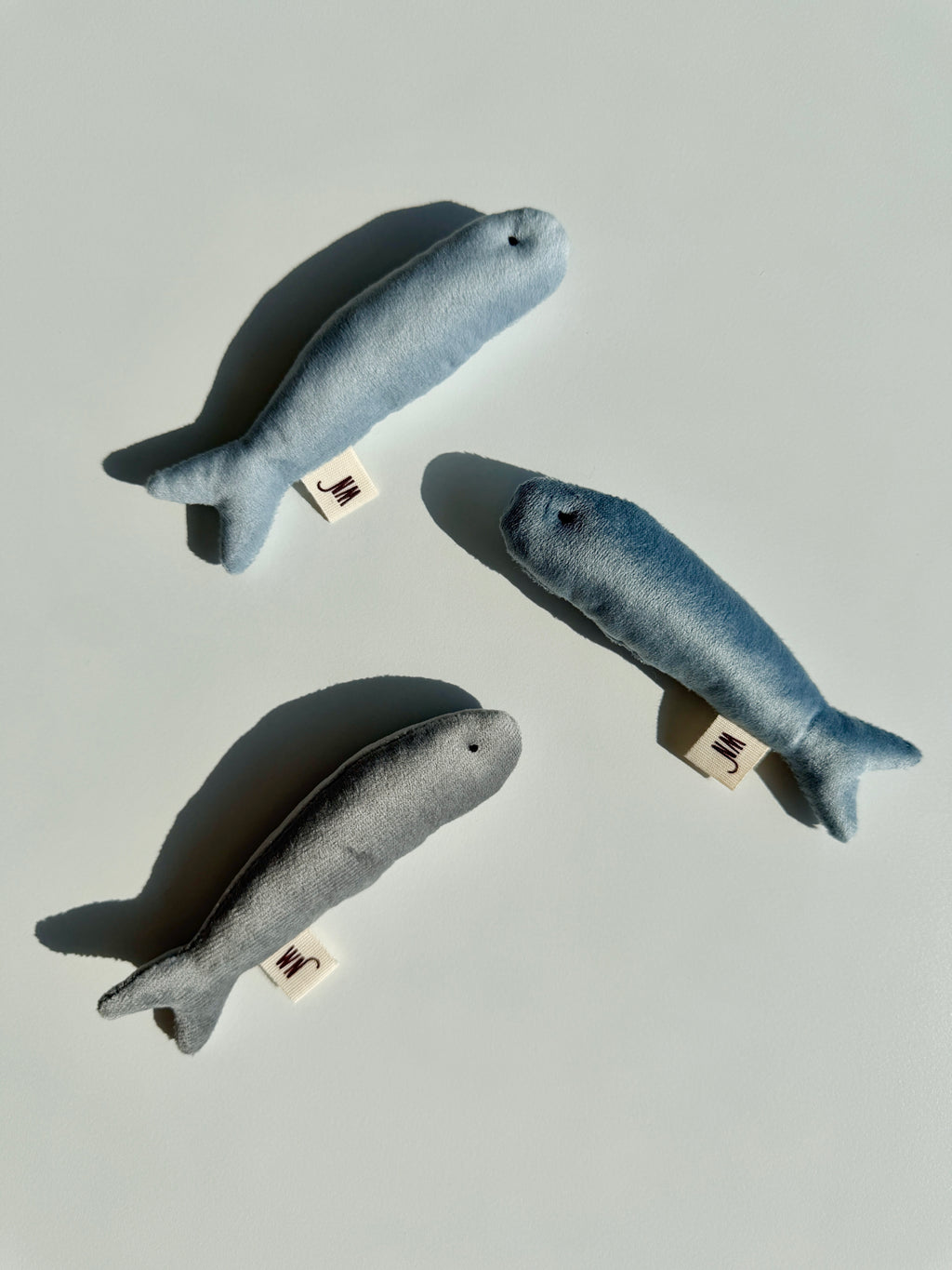 Wetnose｜海洋系列-小魚乾（3件組）anchovy 3 set