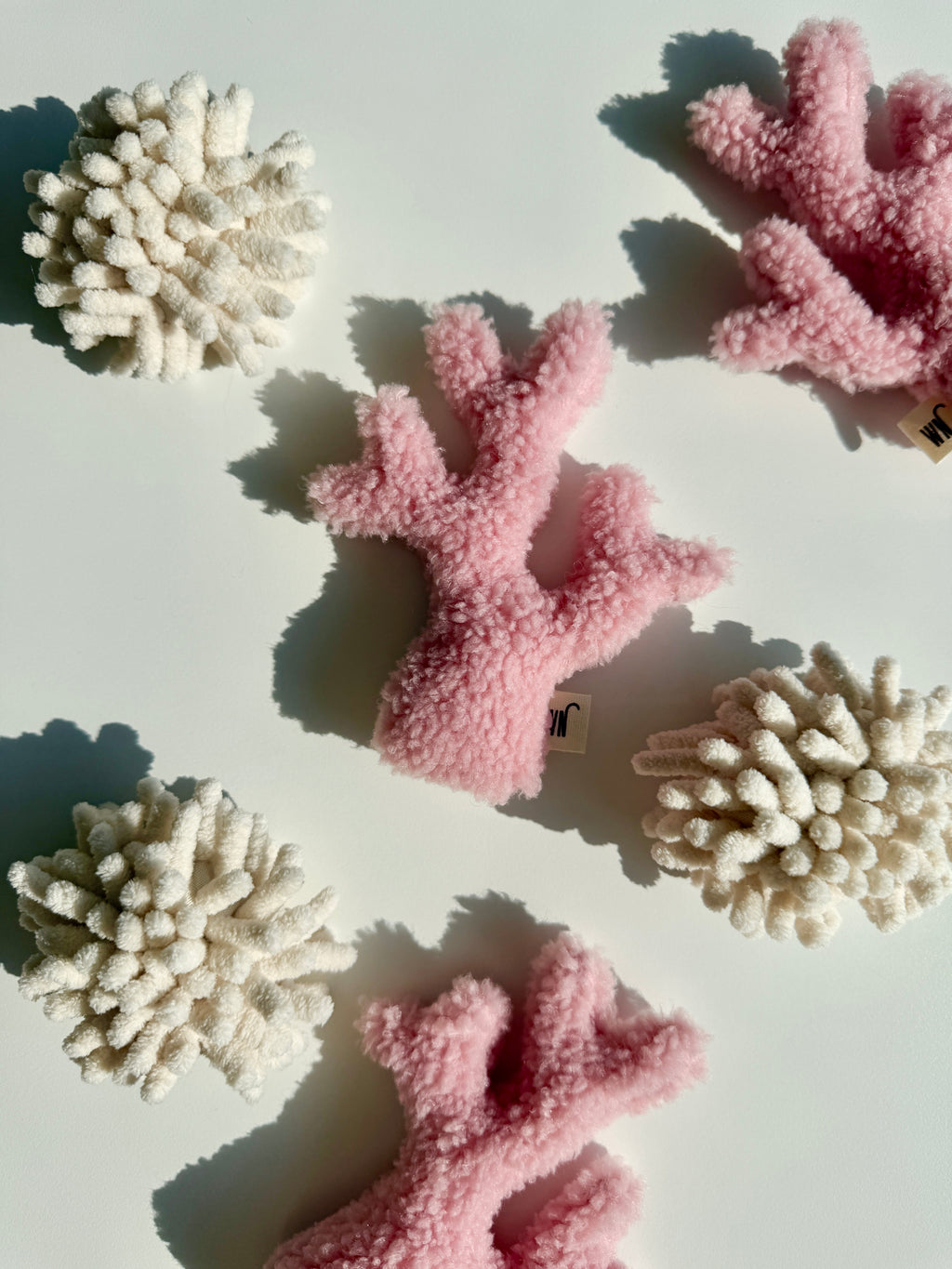 Wetnose｜海洋系列-珊瑚（2件組）coral 2 set