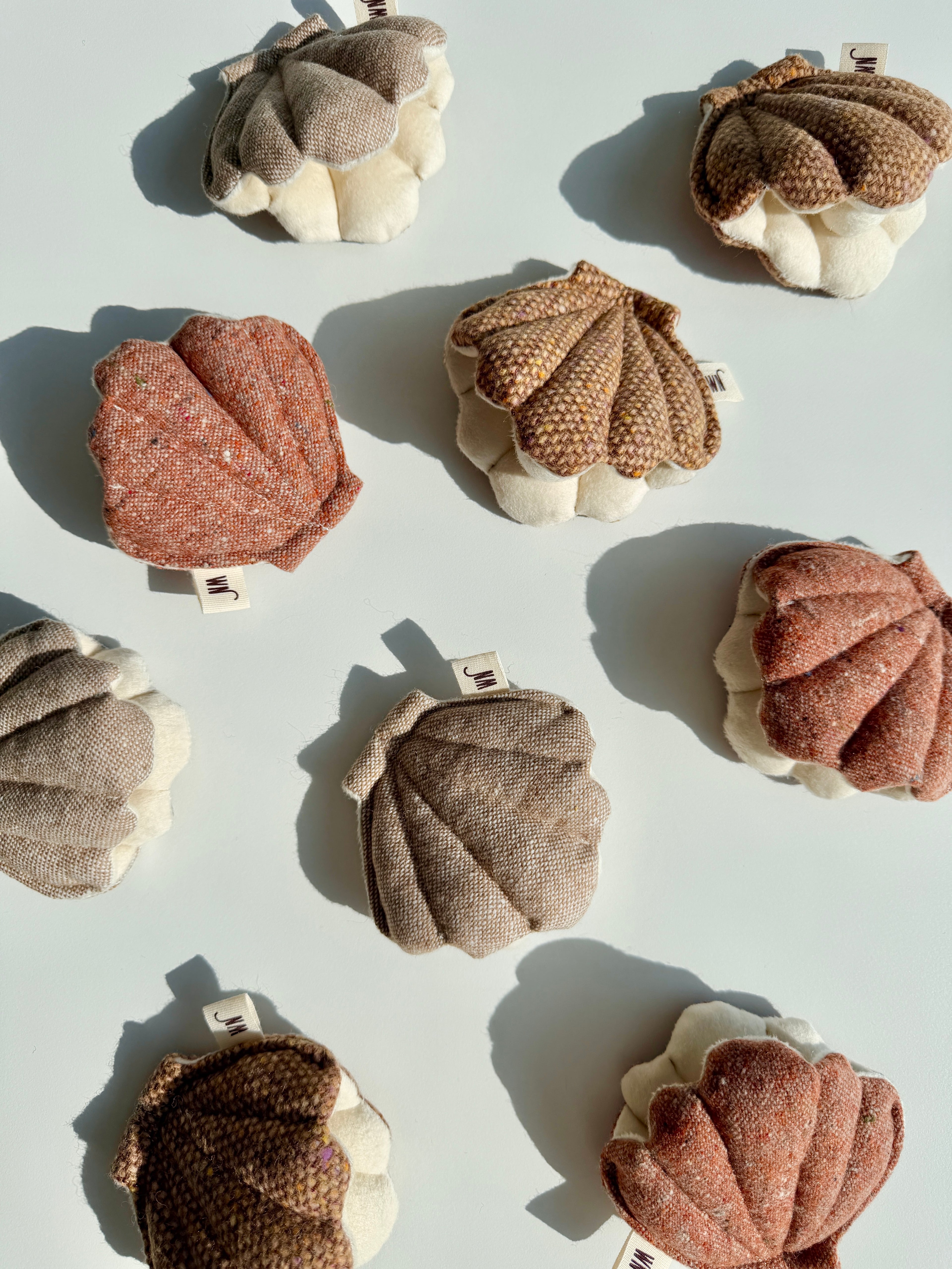 Wetnose｜海洋系列-貝殼（3件組）clam 3 set