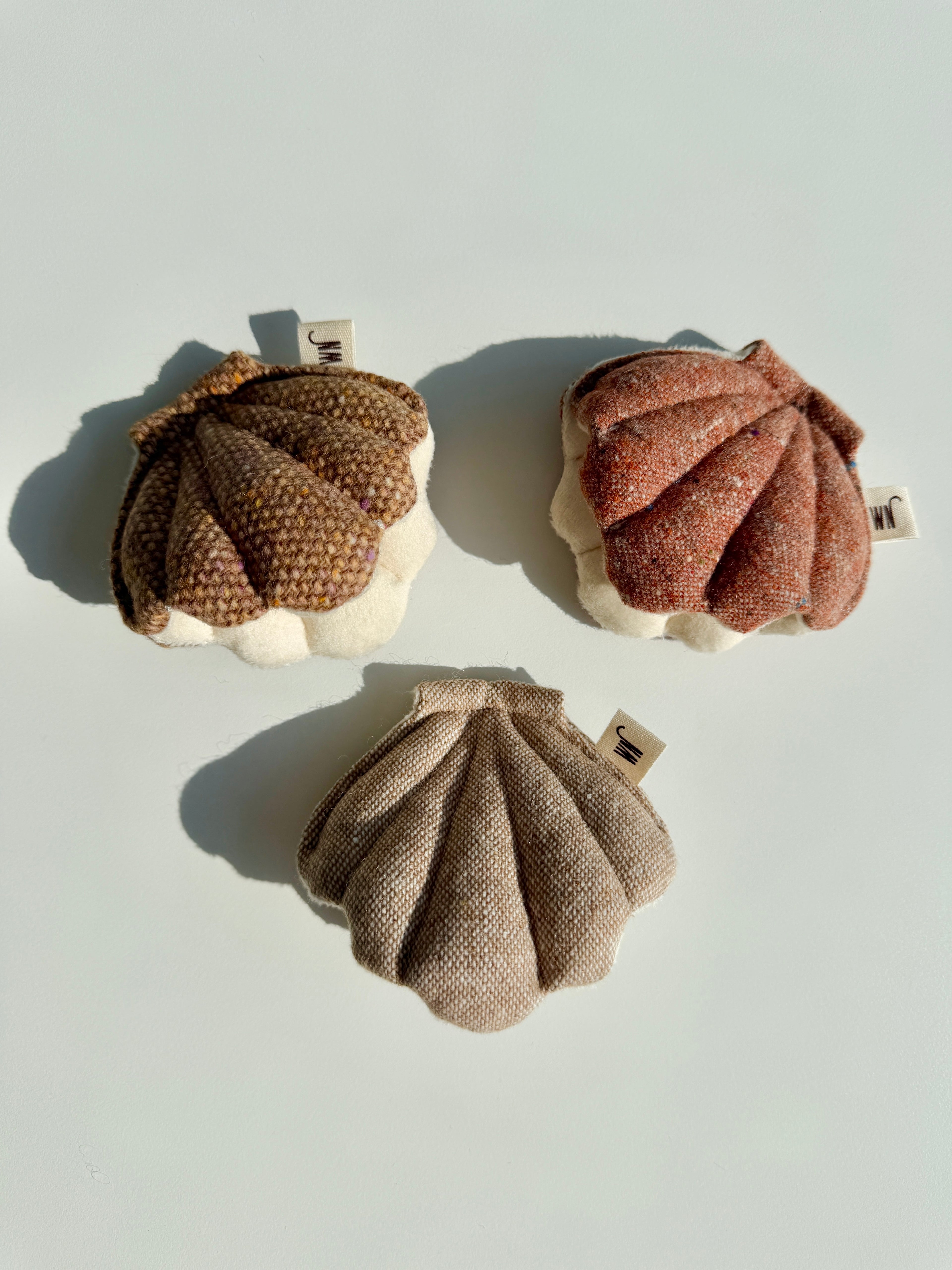 Wetnose｜海洋系列-貝殼（3件組）clam 3 set