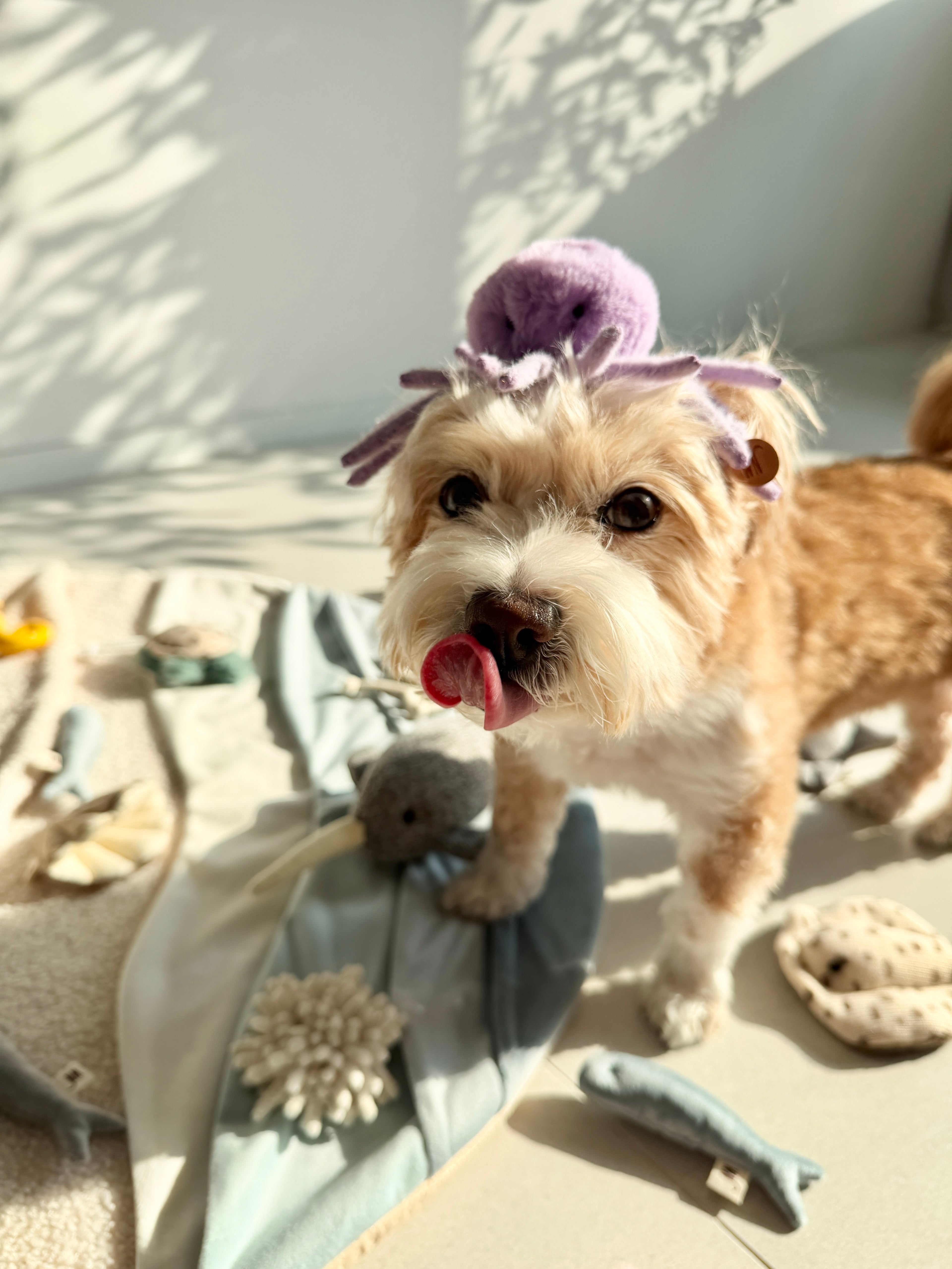 Wetnose｜海洋系列-章魚頭套 octopus headpiece