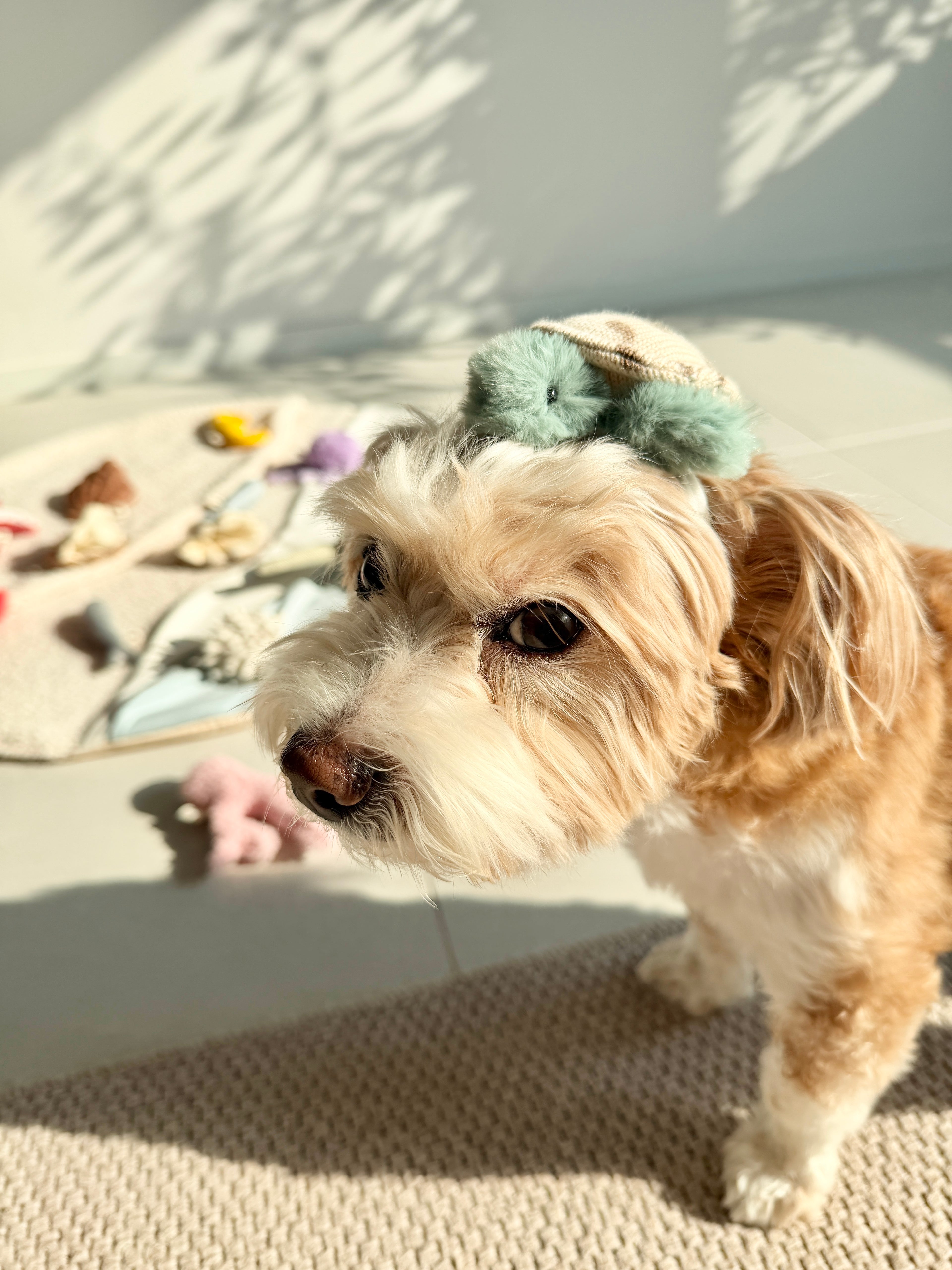 Wetnose｜海洋系列-烏龜頭套 turtle headpiece