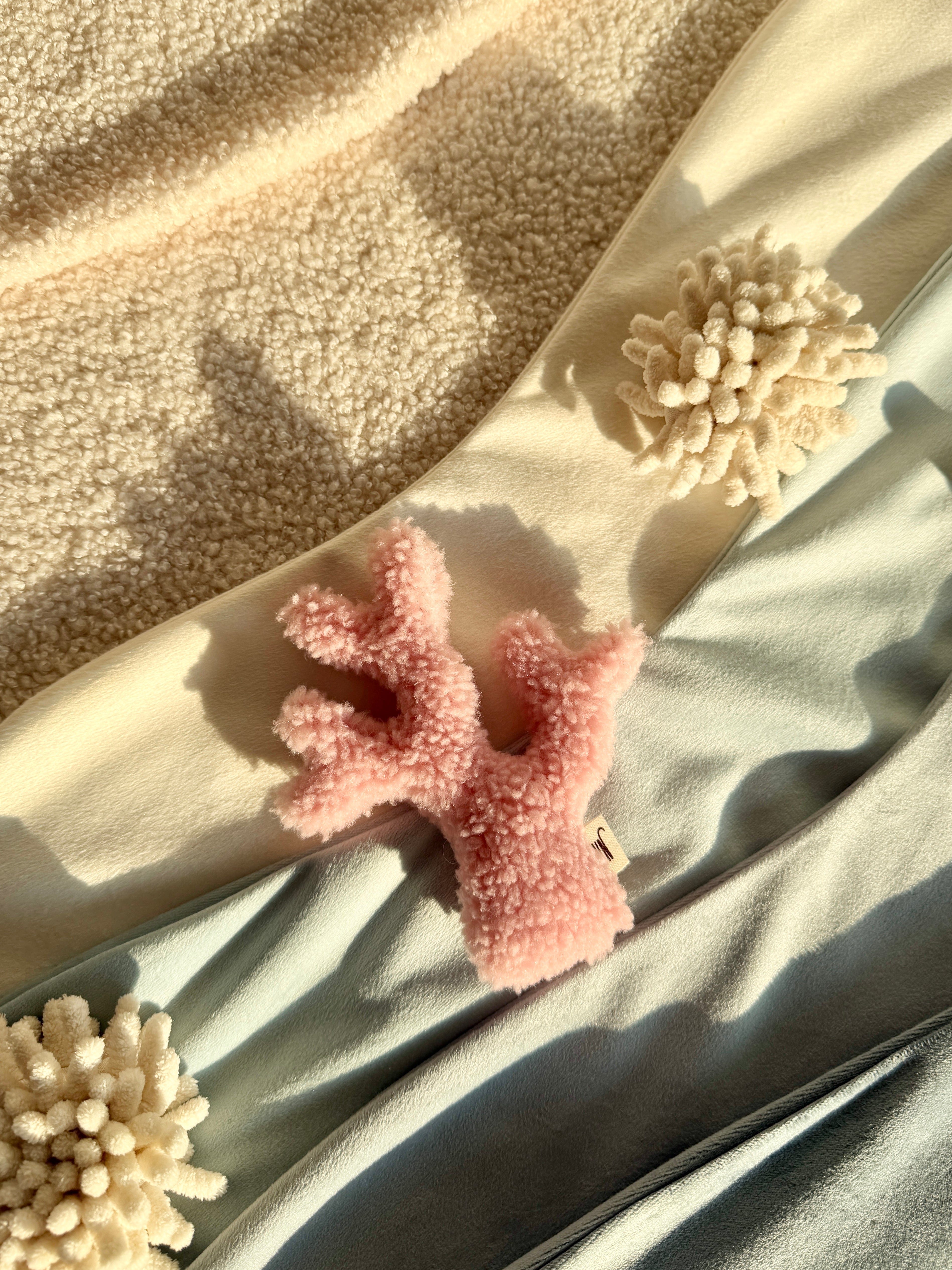 Wetnose｜海洋系列-珊瑚（2件組）coral 2 set