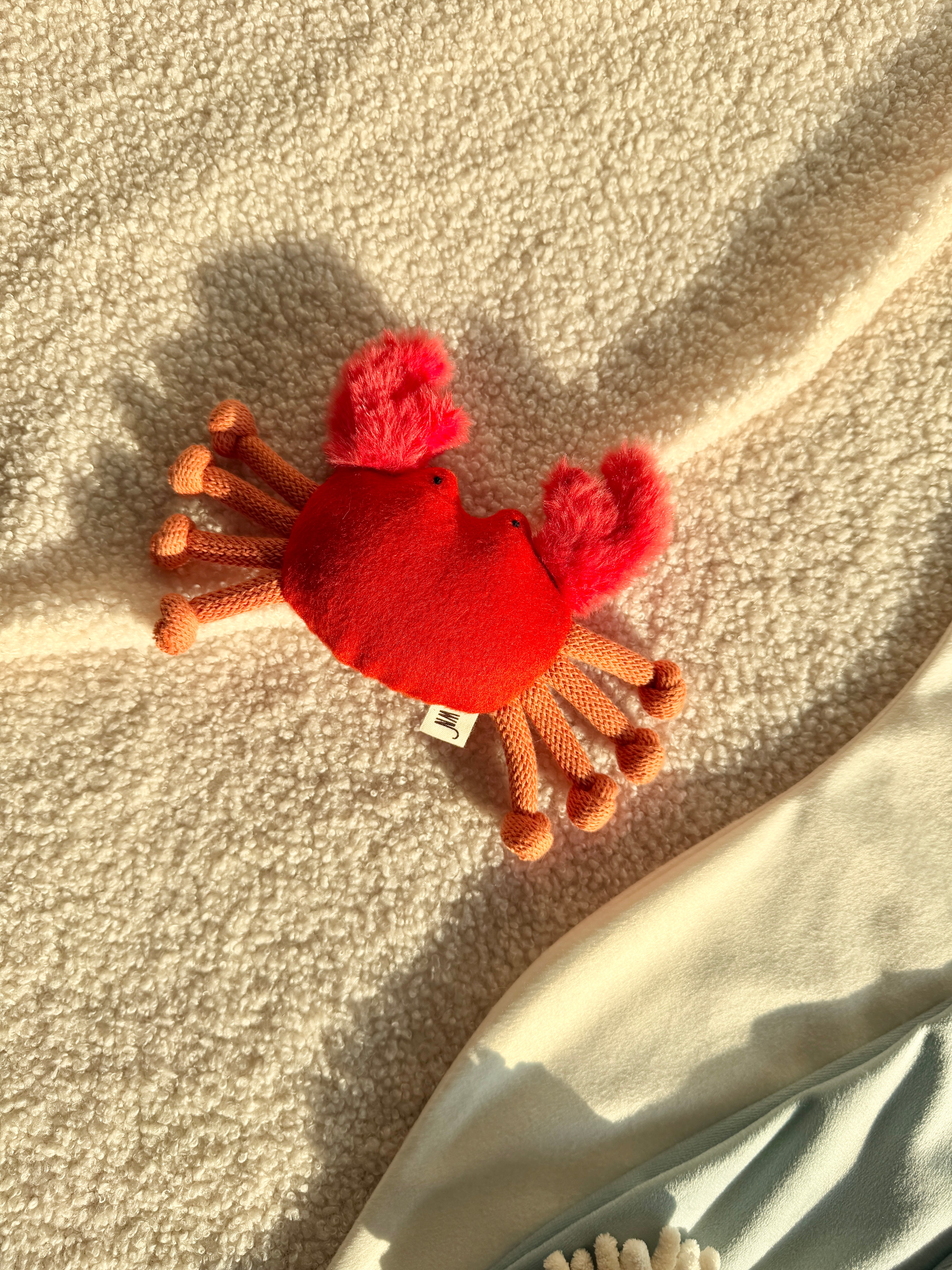 Wetnose｜海洋系列-螃蟹 Crab