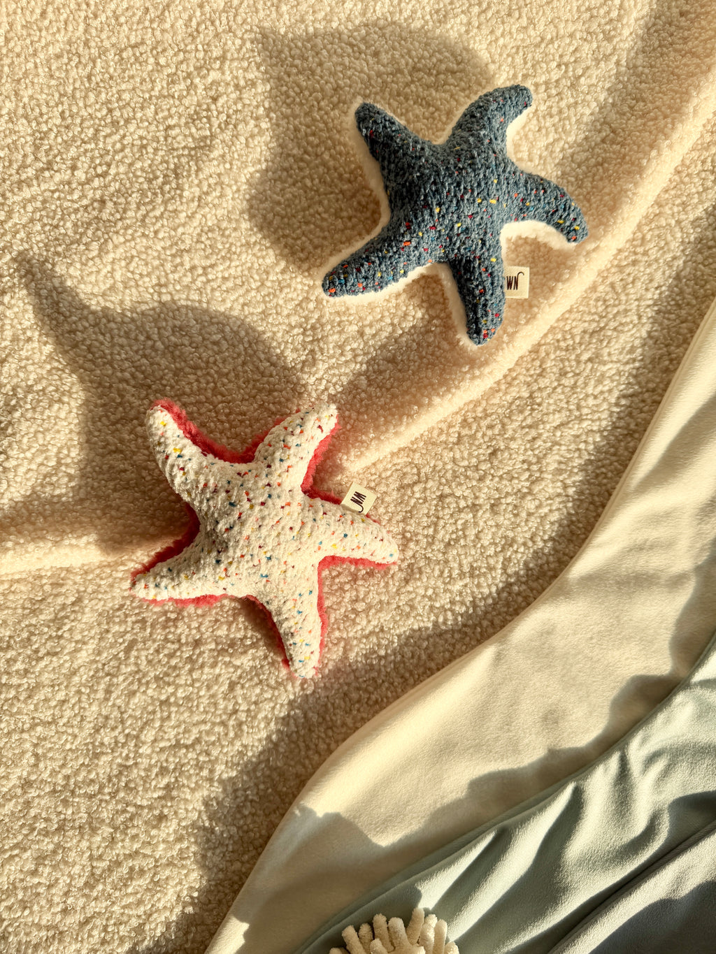 Wetnose｜海洋系列-海星 starfish