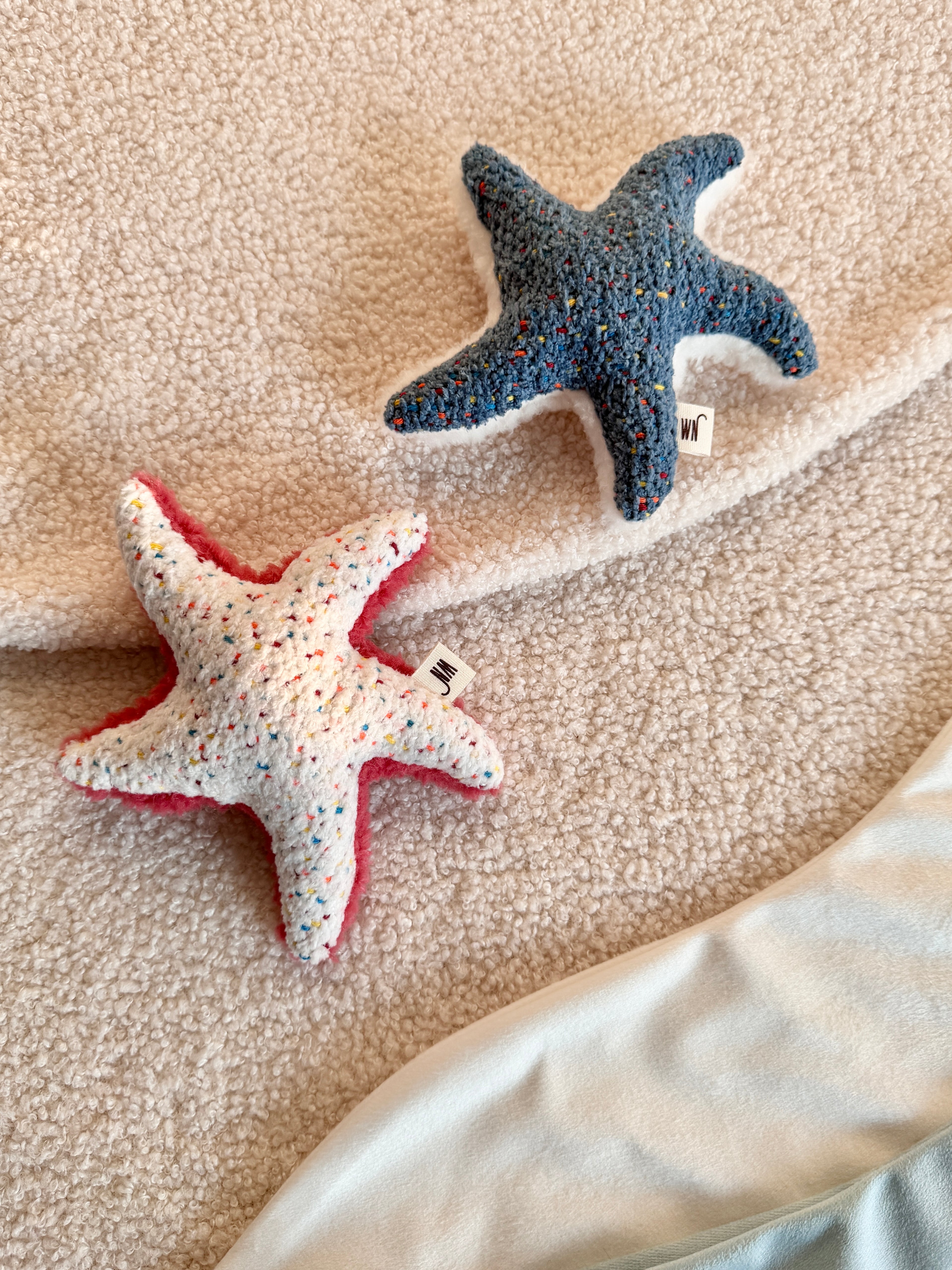 Wetnose｜海洋系列-海星 starfish