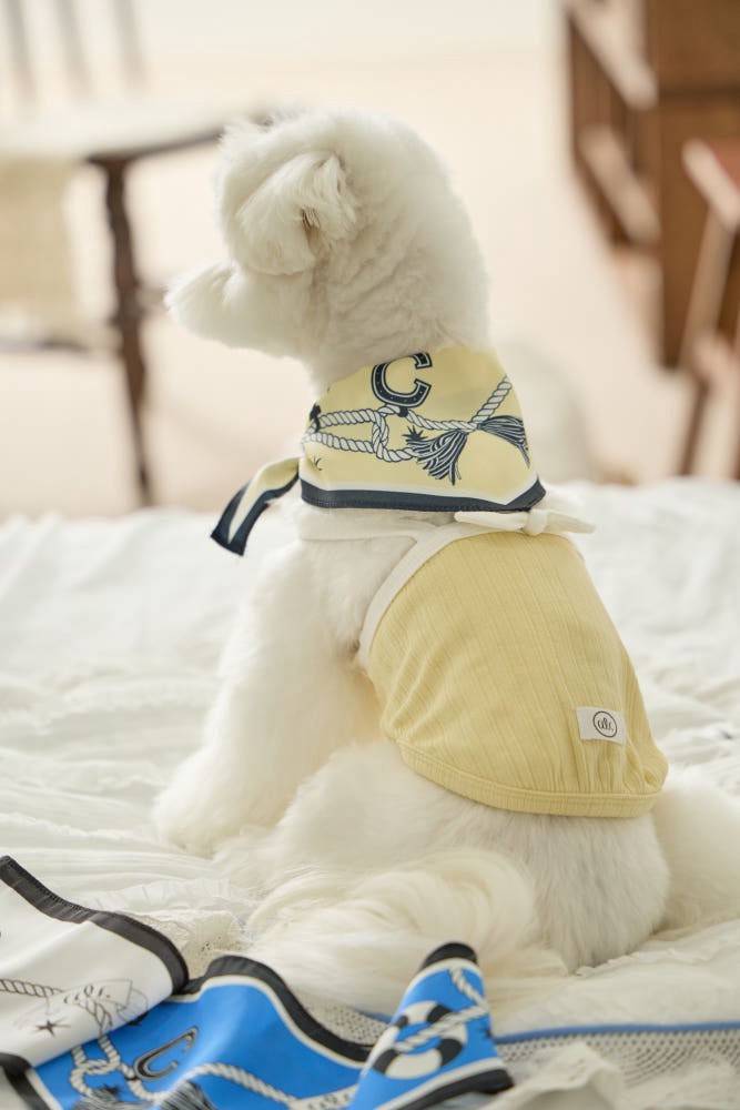 代購｜Marine Scarf 海洋領巾（3色）