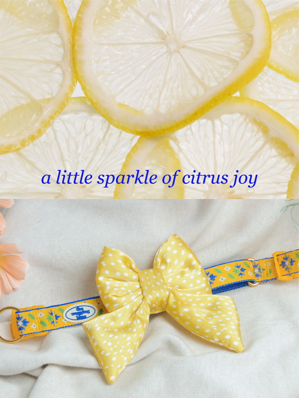 TWB｜Lemon Dotty Ribbon｜檸檬圓點蝴蝶結
