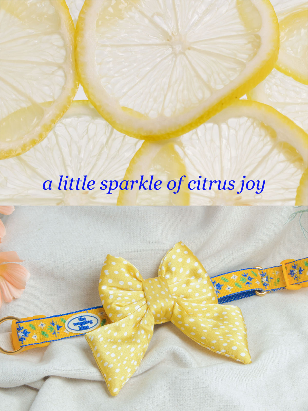 TWB｜Lemon Dotty Ribbon｜檸檬圓點蝴蝶結