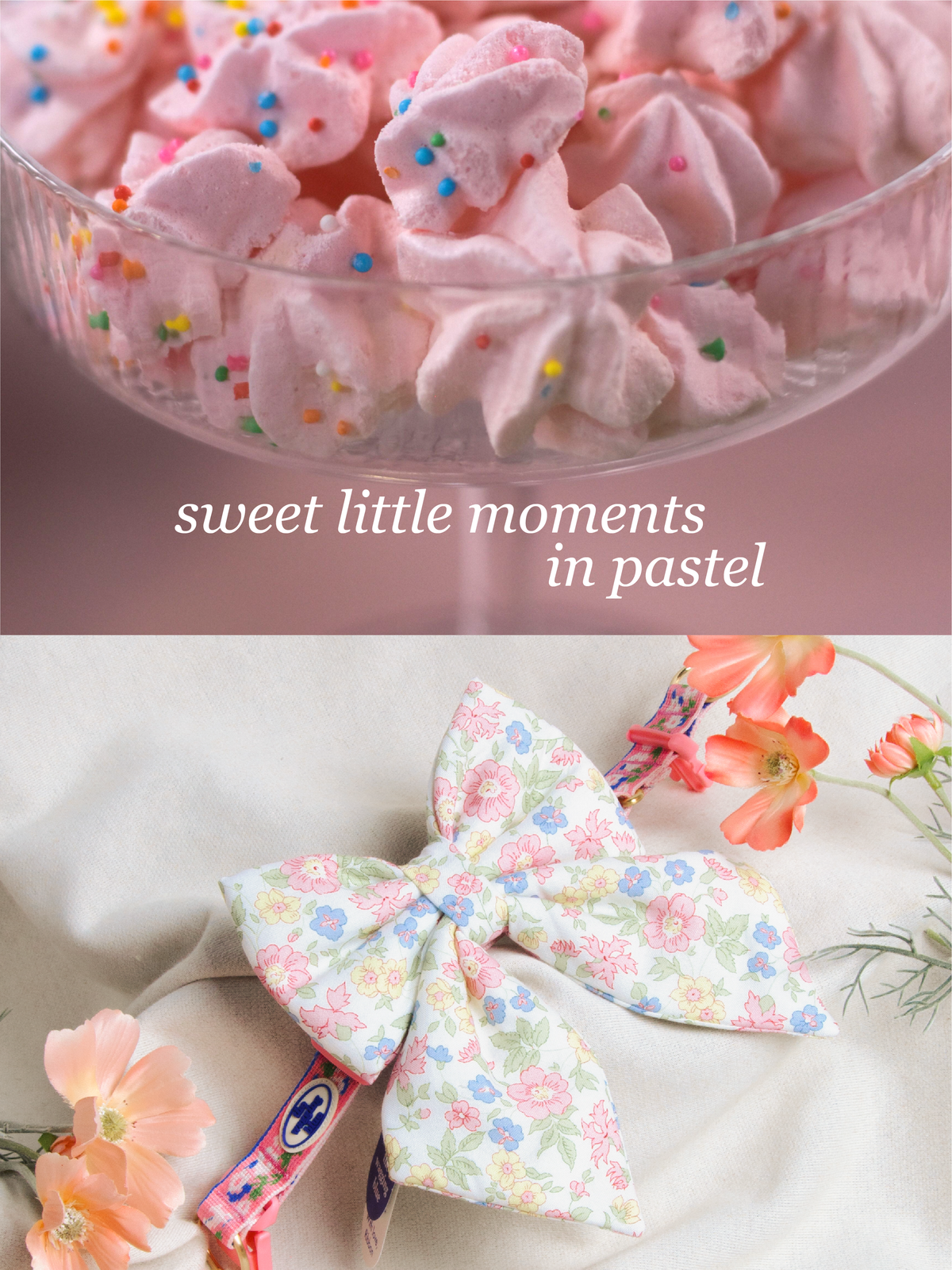 TWB｜Pastel Confetti Ribbon｜粉彩糖屑蝴蝶結