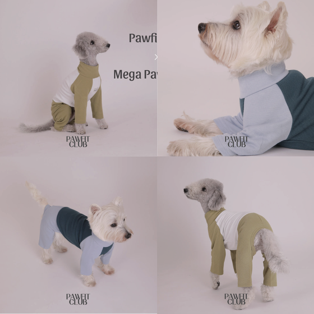 PawfitClub｜Basic Stretch All in One 高彈舒適基本款連身衣