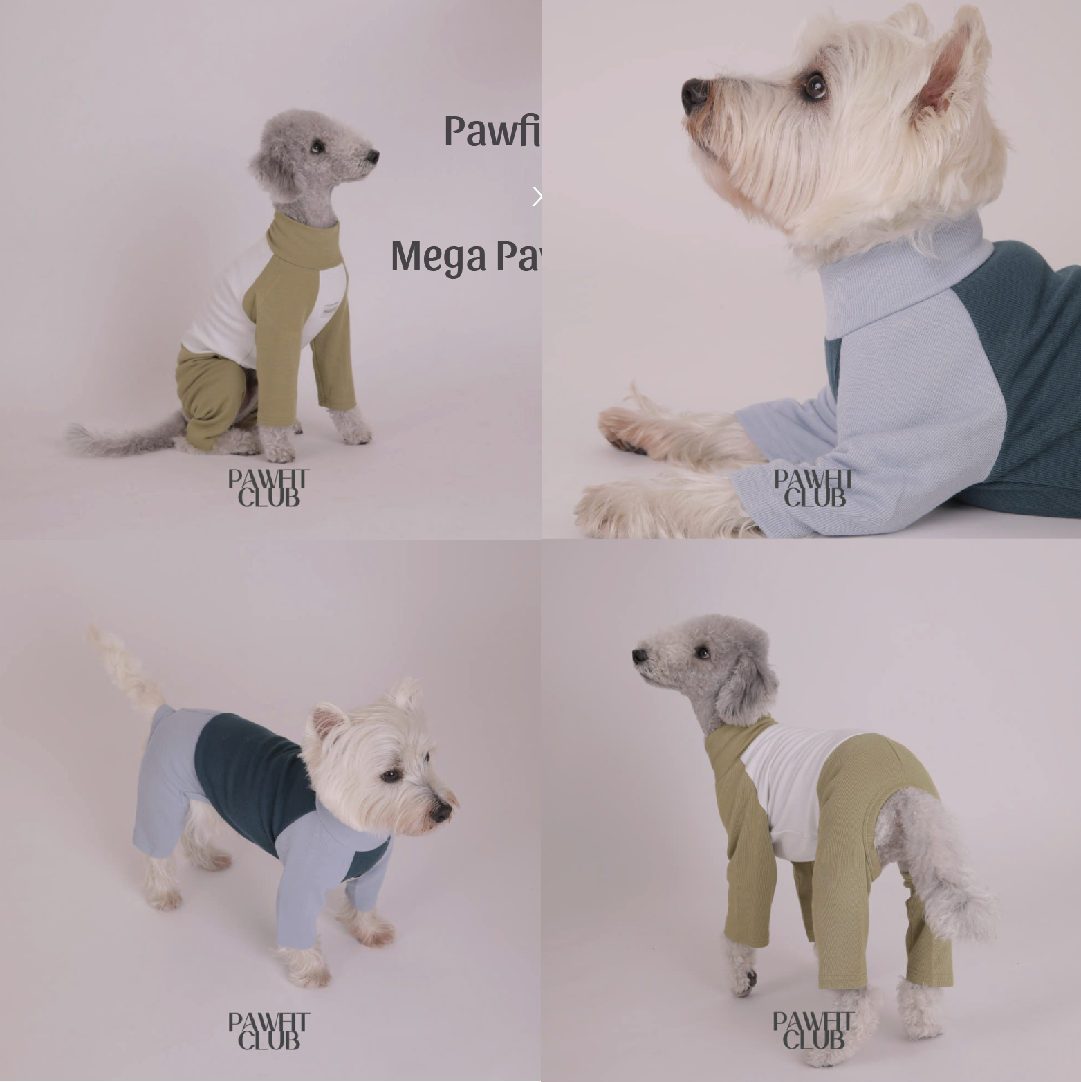 PawfitClub｜Basic Stretch All in One 高彈舒適基本款連身衣