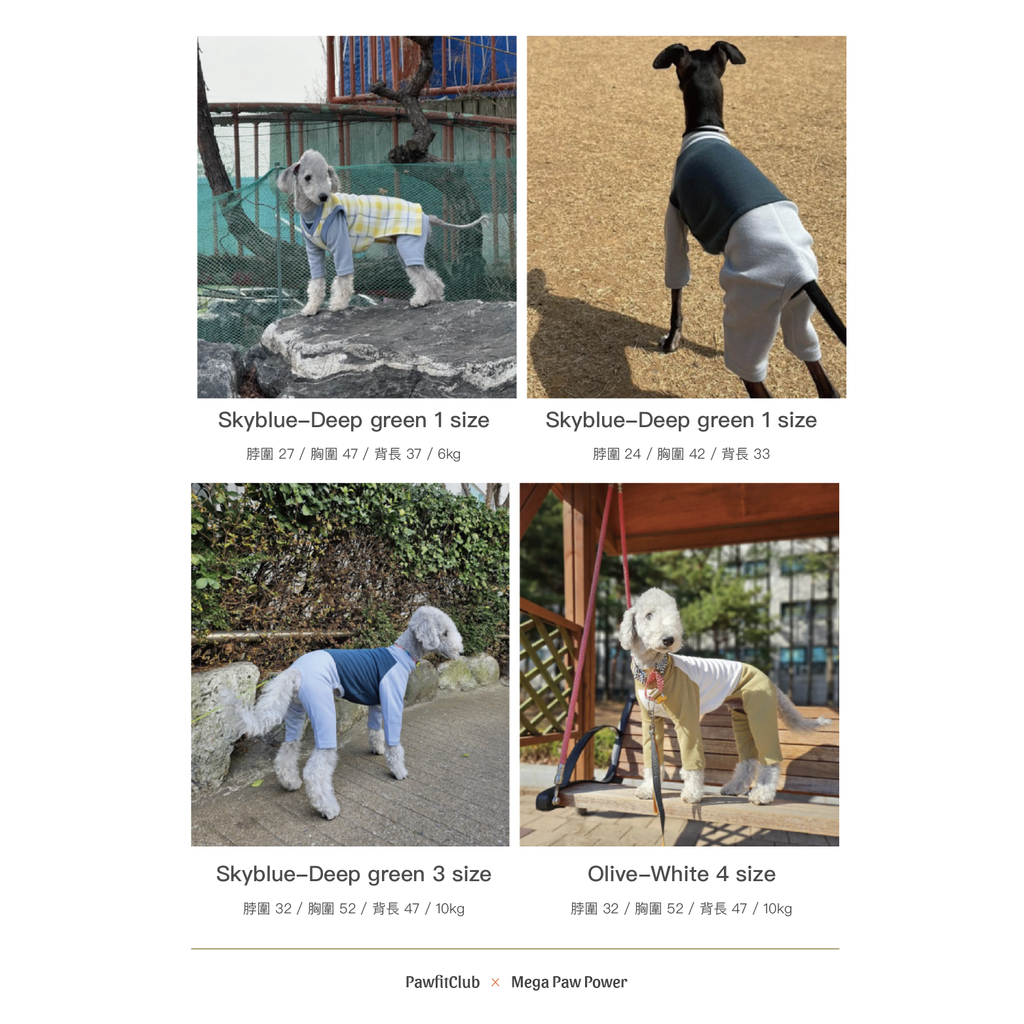 PawfitClub｜Basic Stretch All in One 高彈舒適基本款連身衣