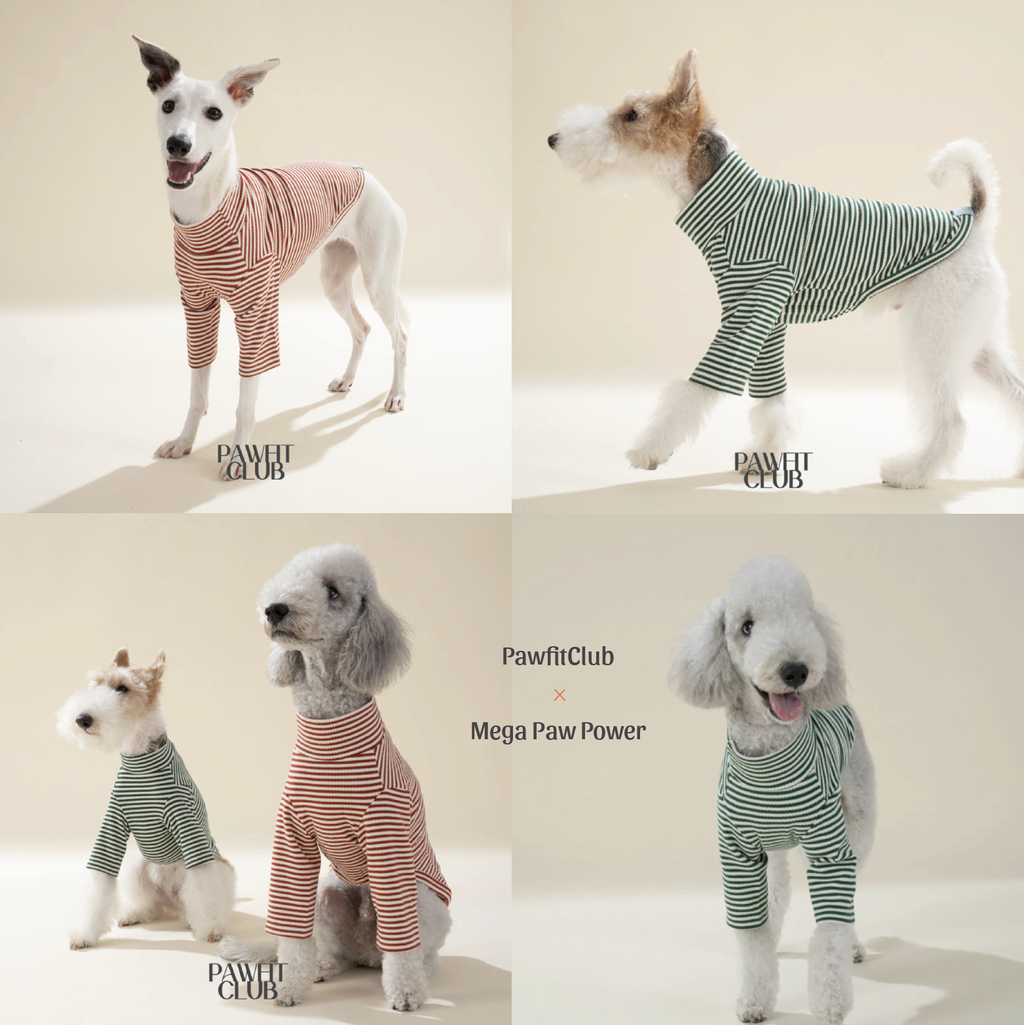 PawfitClub｜Cozy Stripe Sweatshirt｜條紋休閒大學T