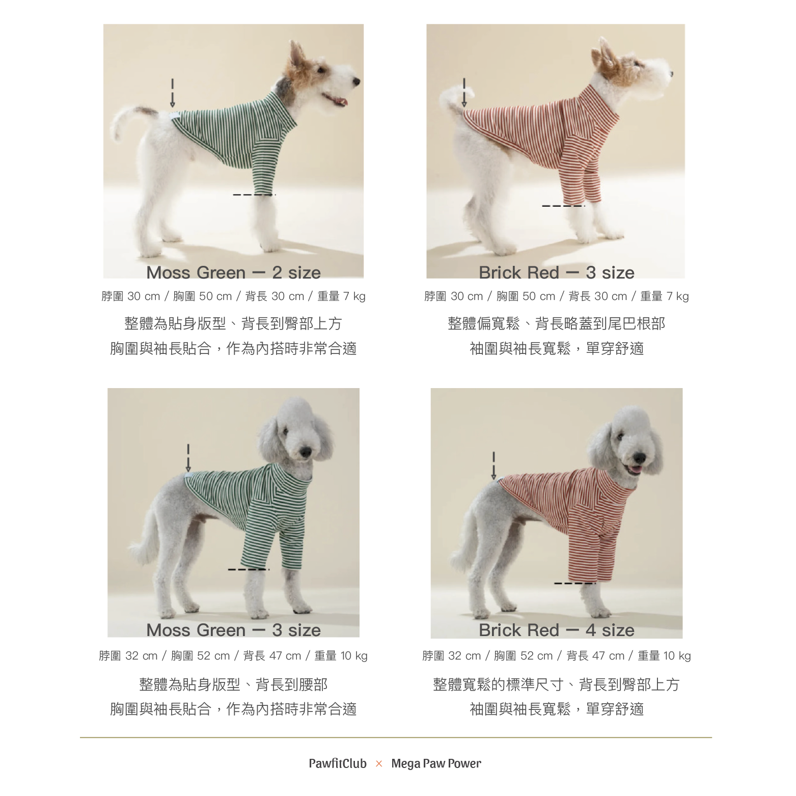 PawfitClub｜Cozy Stripe Sweatshirt｜條紋休閒大學T