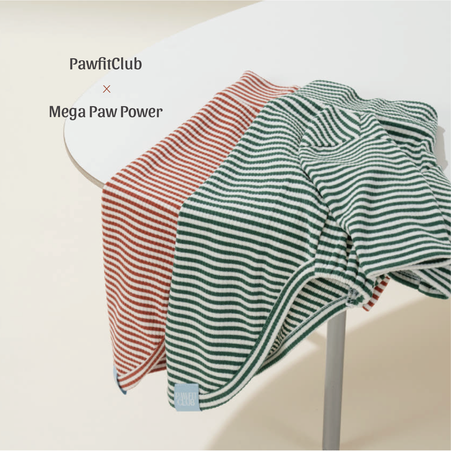 PawfitClub｜Cozy Stripe Sweatshirt｜條紋休閒大學T