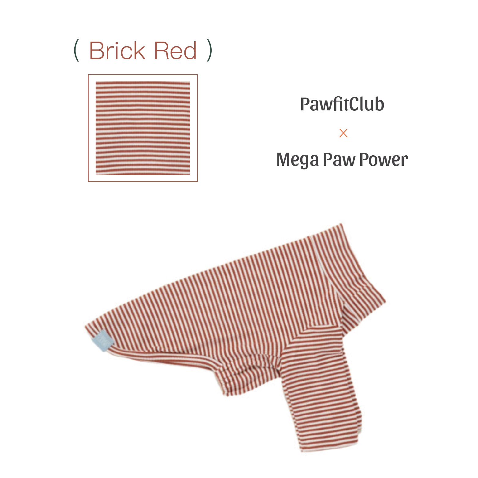 PawfitClub｜Cozy Stripe Sweatshirt｜條紋休閒大學T