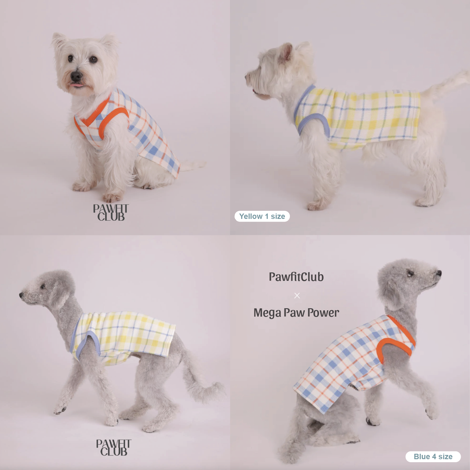 PawfitClub｜Lovely Check Knit 格紋針織上衣