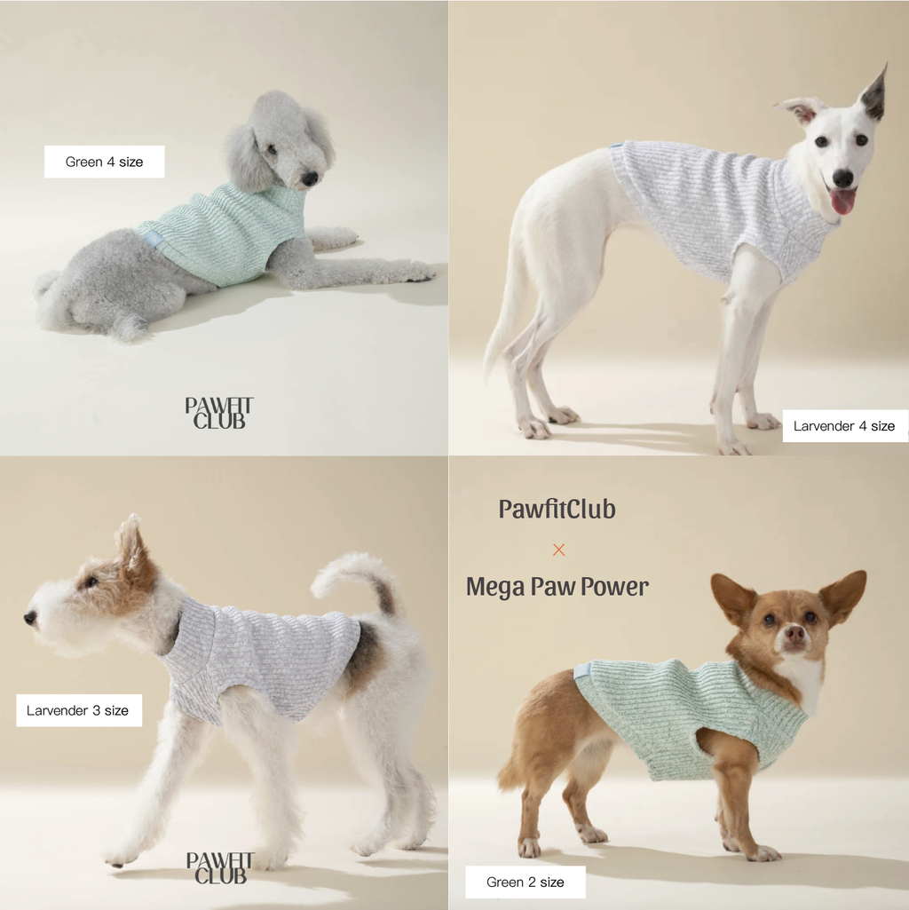 PawfitClub｜Melange Crop Knit 混色短版針織背心