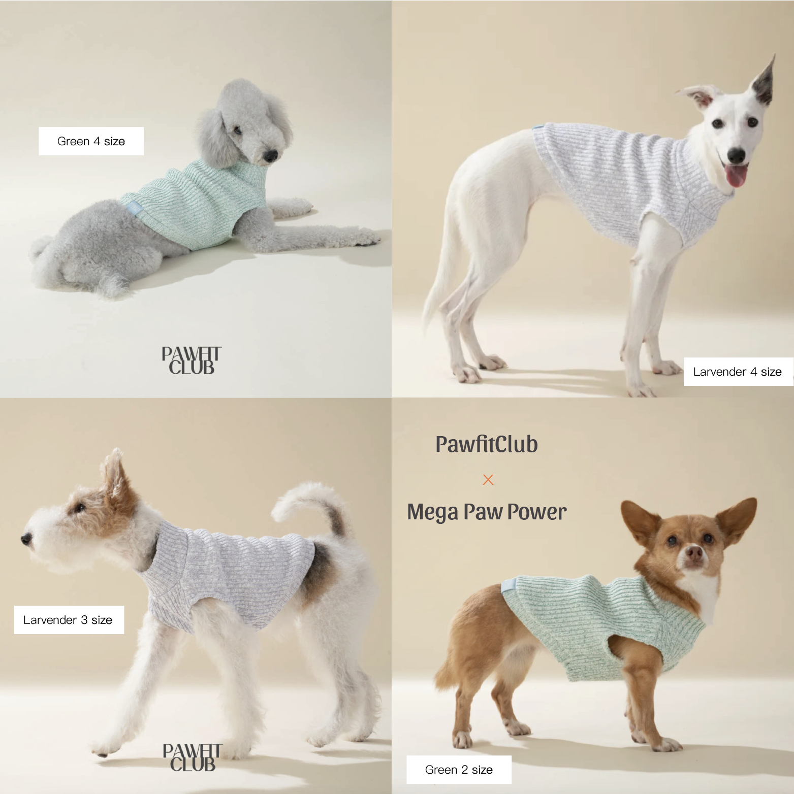 PawfitClub｜Melange Crop Knit 混色短版針織背心