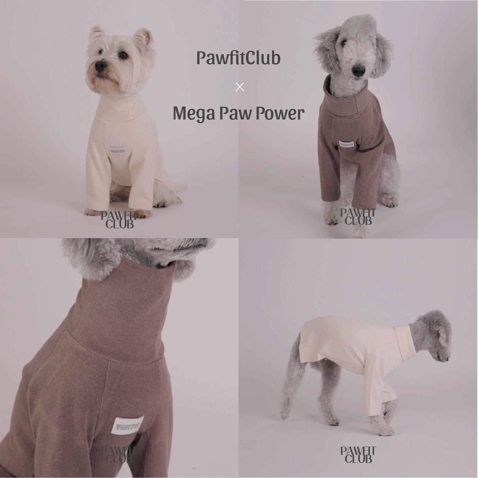PawfitClub｜Peach Raglan Sweatshirt 蜜桃色插肩袖大學T
