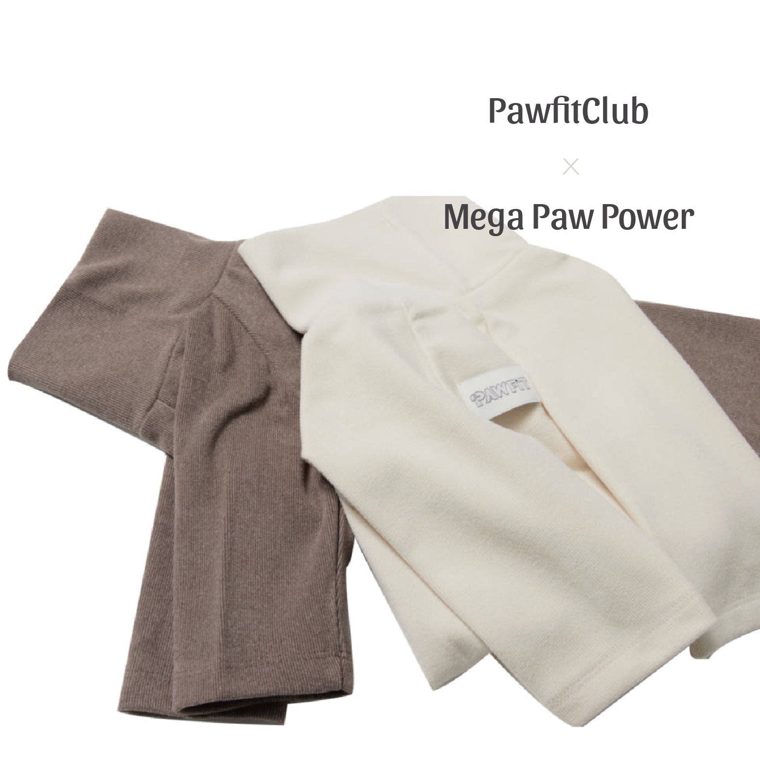 PawfitClub｜Peach Raglan Sweatshirt 蜜桃色插肩袖大學T