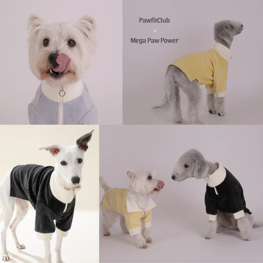 PawfitClub｜Soft Yarn Half-Zip 柔軟紗線半拉鍊上衣