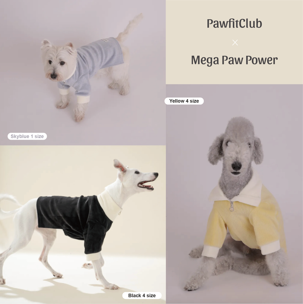 PawfitClub｜Soft Yarn Half-Zip 柔軟紗線半拉鍊上衣