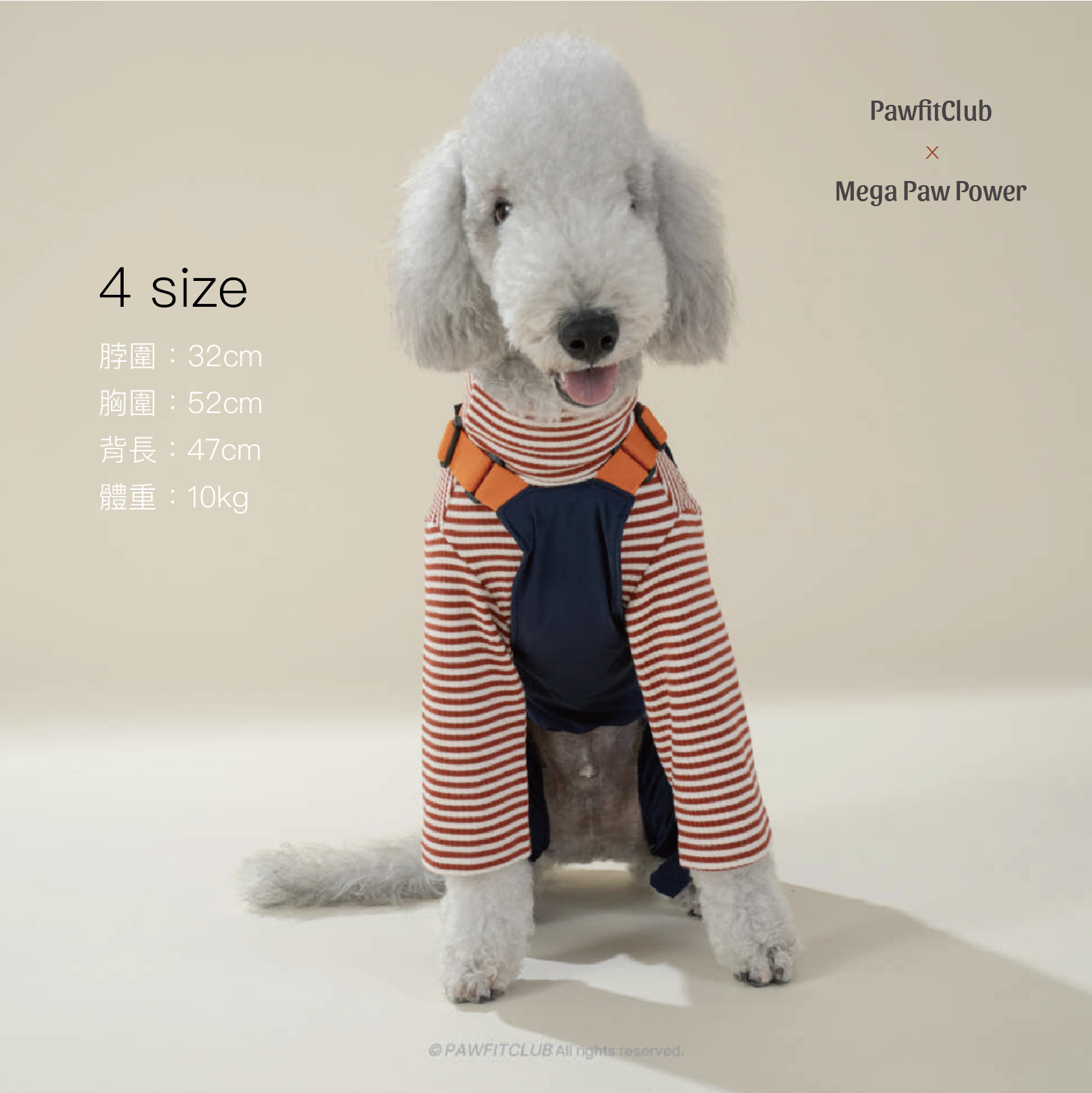 PawfitClub｜Worky Jumpsuit 機能感工裝連身褲