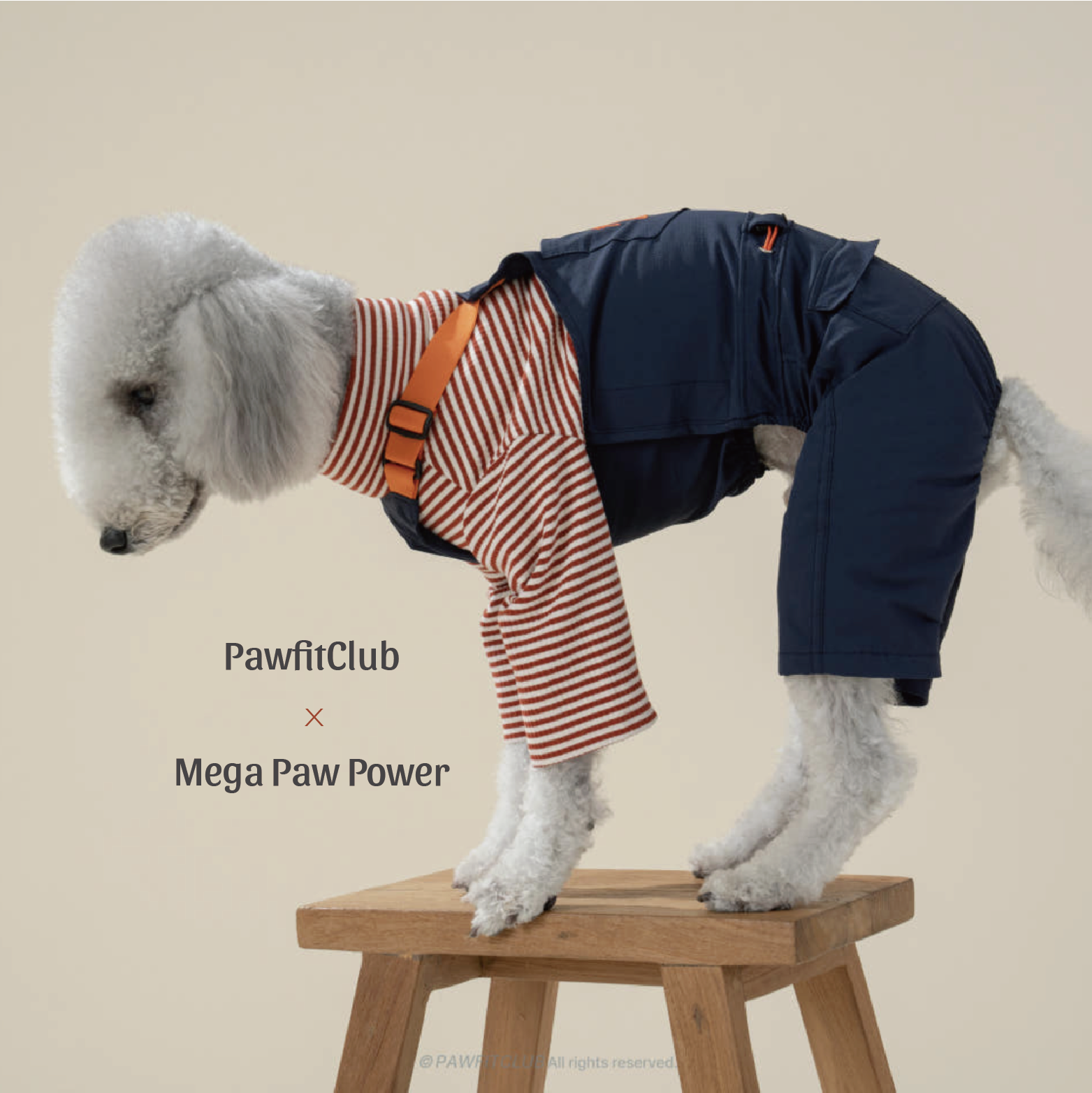 PawfitClub｜Worky Jumpsuit 機能感工裝連身褲