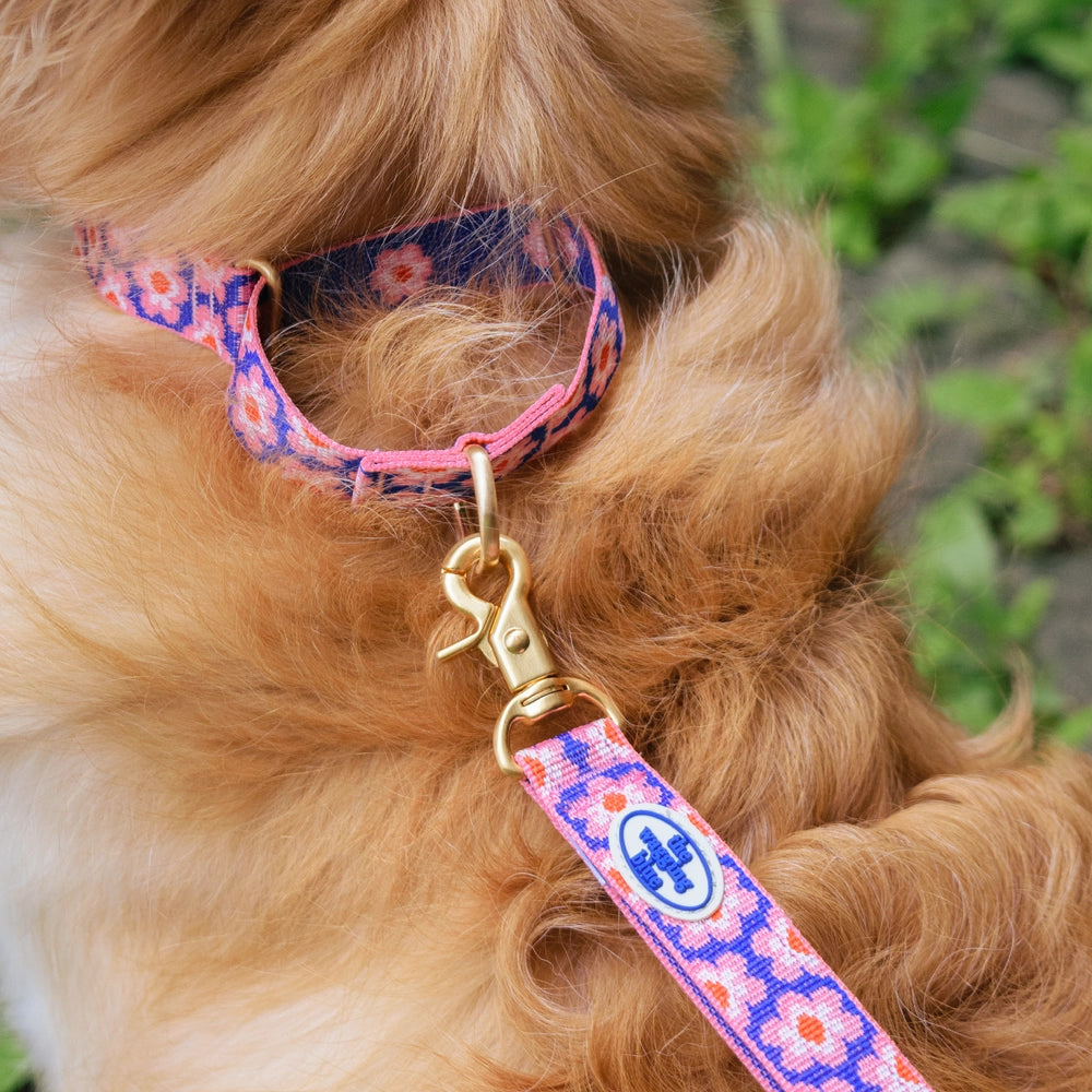 TWB｜Pink Lotus Martingale Collar｜粉紅蓮花安全防脫項圈