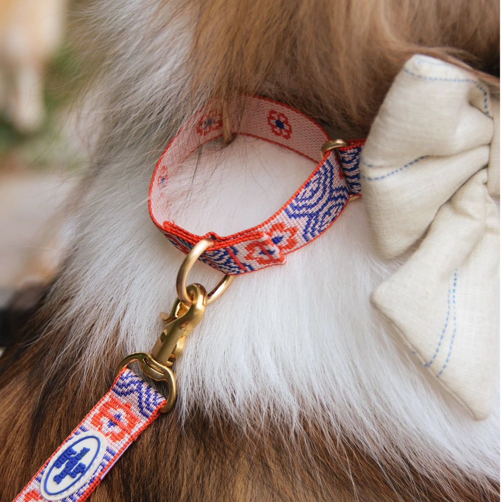 TWB｜Scarlet Lotus Martingale Collar｜朱紅蓮花安全防脫項圈