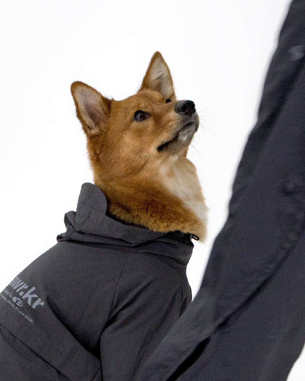Paaawr｜經典防潑水風衣外套 Signature Windbreaker_Charcoal