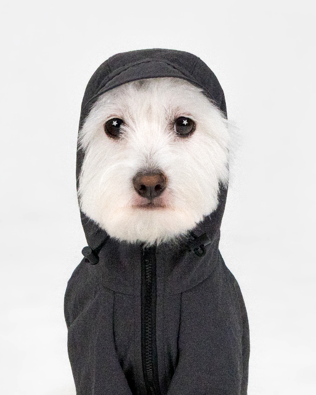 Paaawr｜經典防潑水風衣外套 Signature Windbreaker_Charcoal