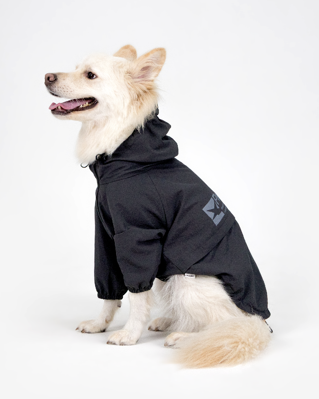 Paaawr｜經典防潑水風衣外套 Signature Windbreaker_Charcoal