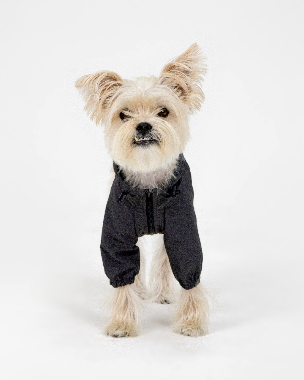 Paaawr｜經典防潑水風衣外套 Signature Windbreaker_Charcoal