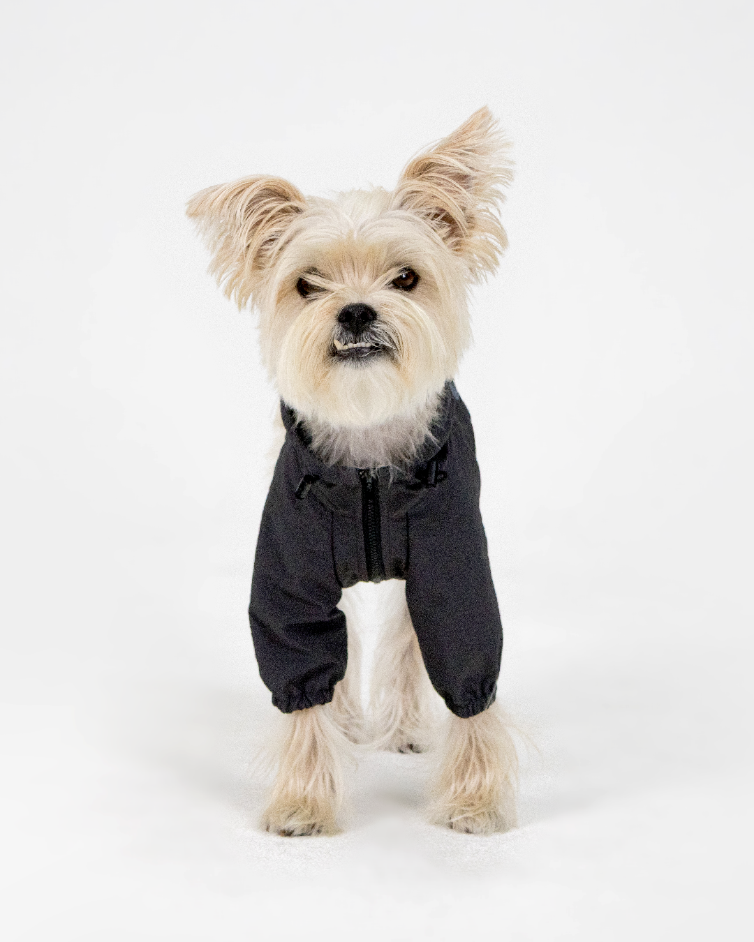 Paaawr｜經典防潑水風衣外套 Signature Windbreaker_Charcoal