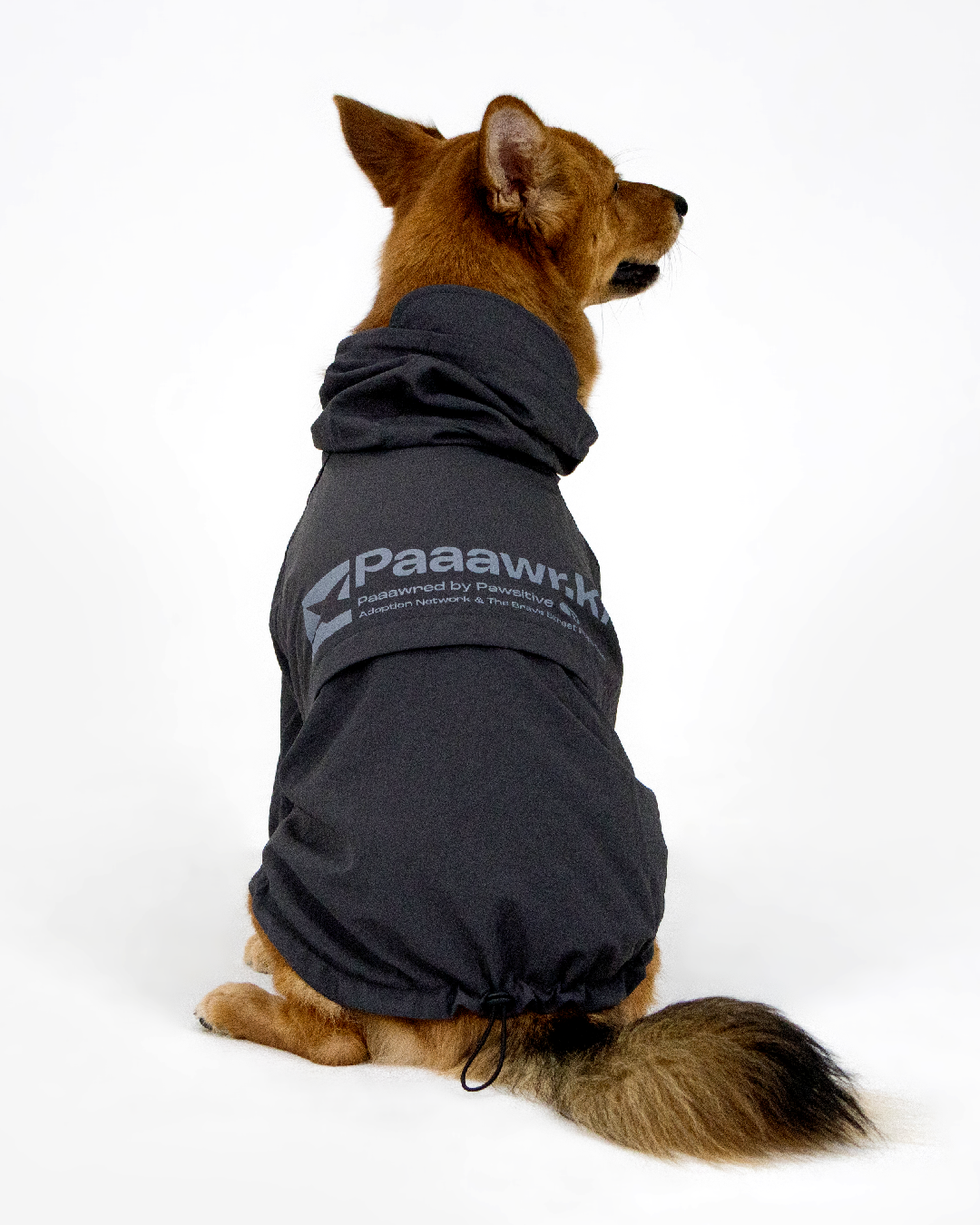 Paaawr｜經典防潑水風衣外套 Signature Windbreaker_Charcoal