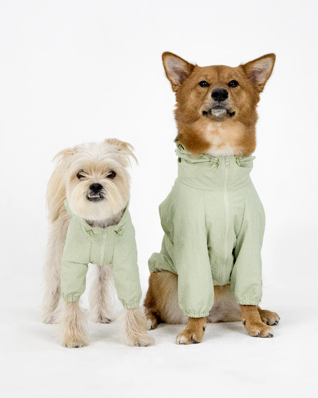 Paaawr｜經典防潑水風衣外套 Signature Windbreaker_Green